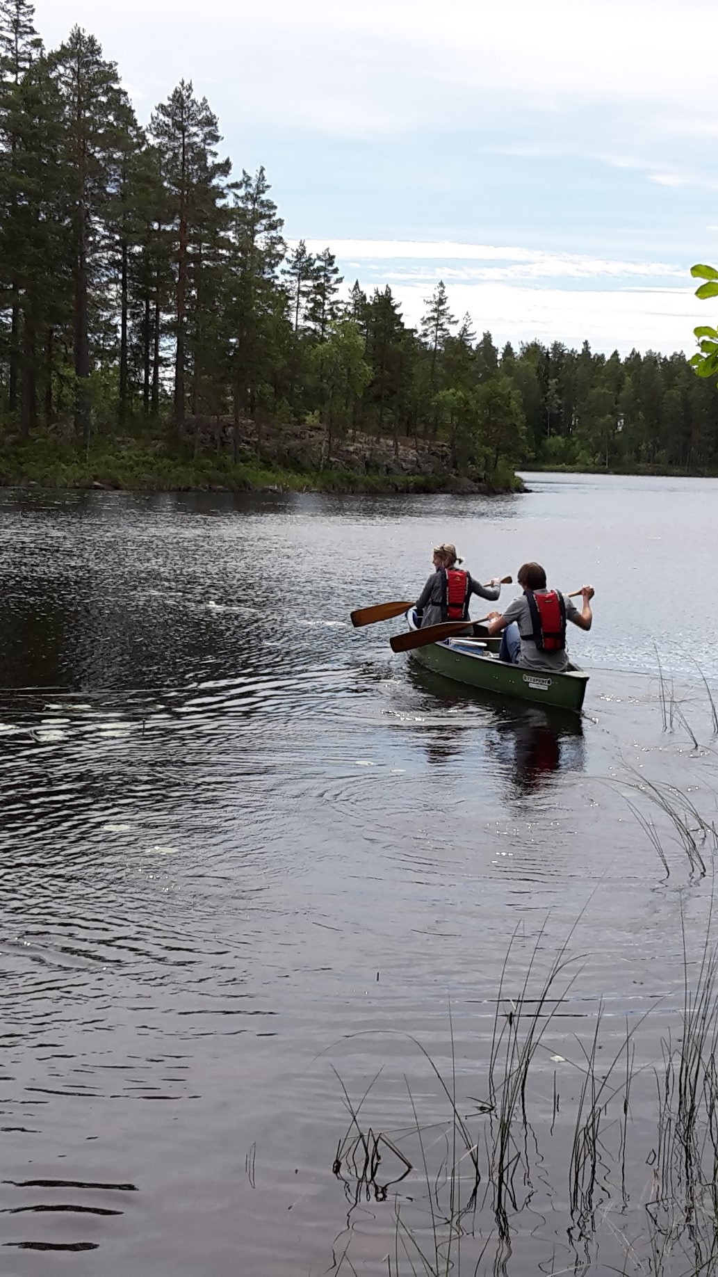 Kanotsafari med viltmiddag – Ramnäs