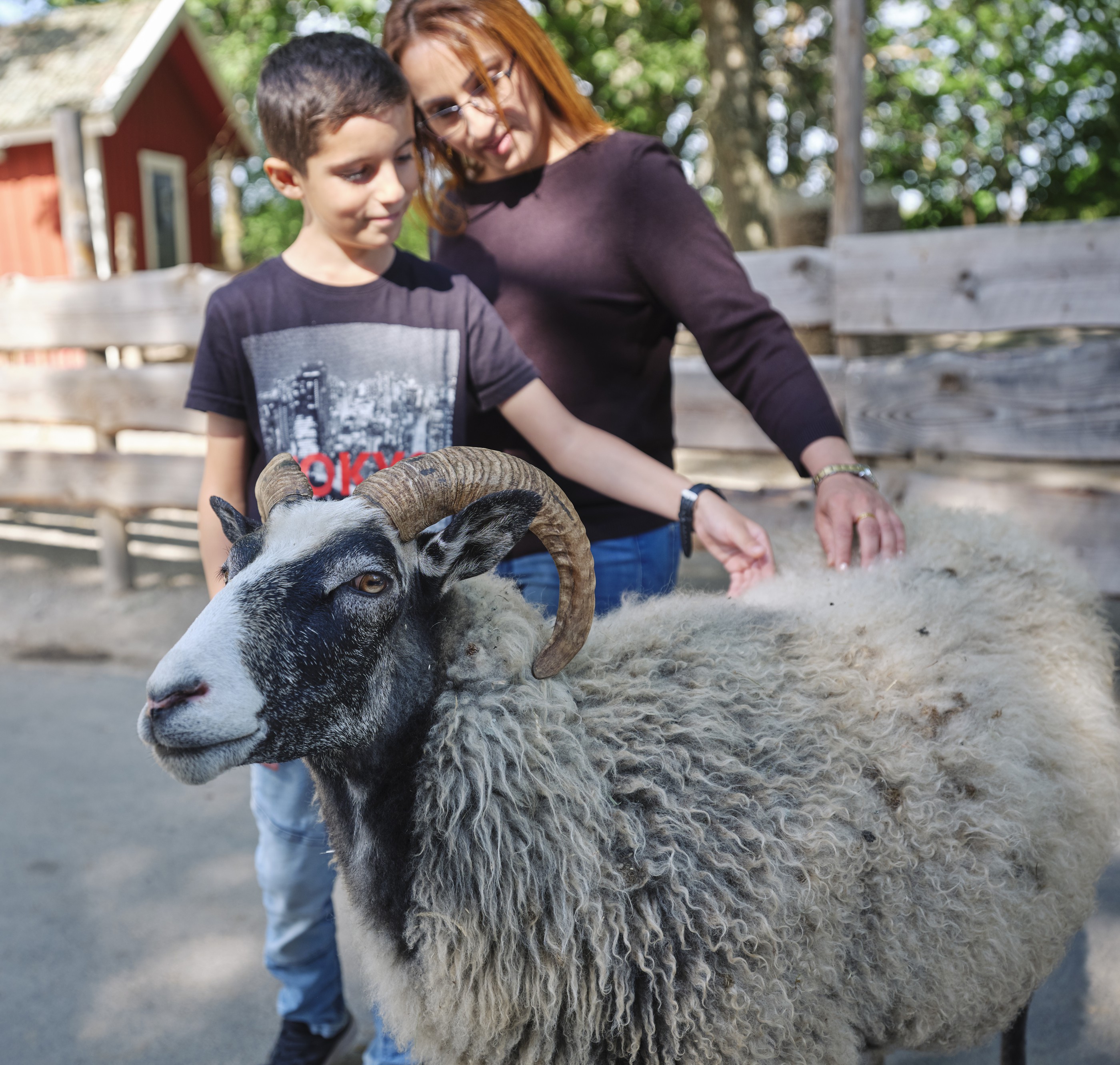 Parken Zoo