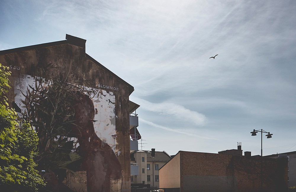 Nässjös väggmålningar