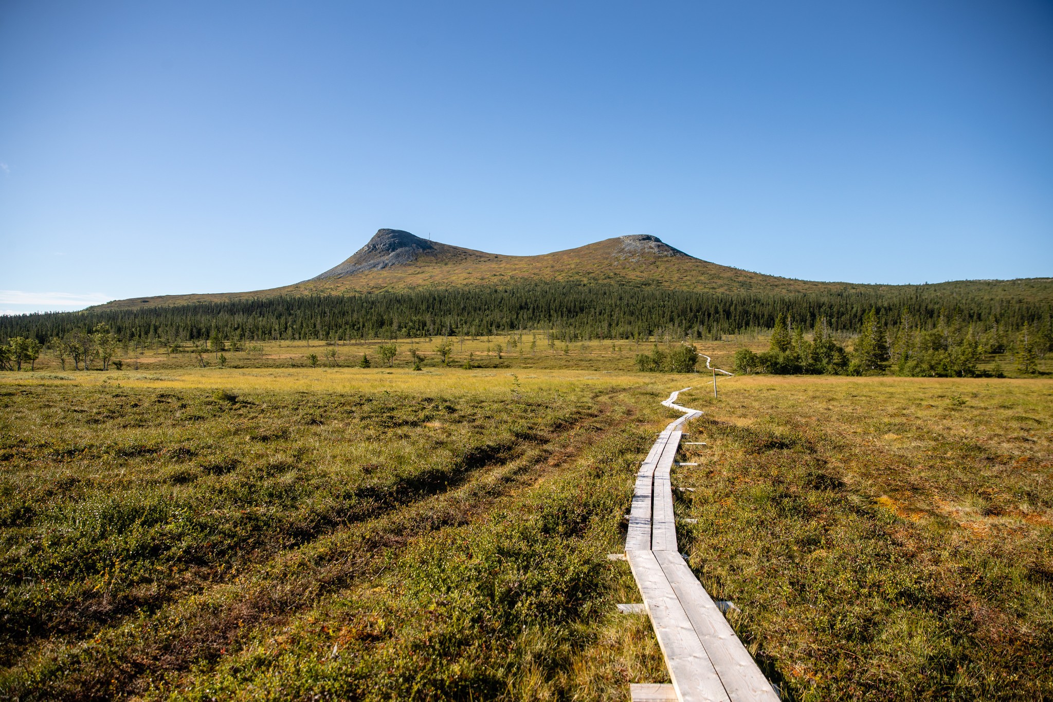 Vandring i Lofsdalen