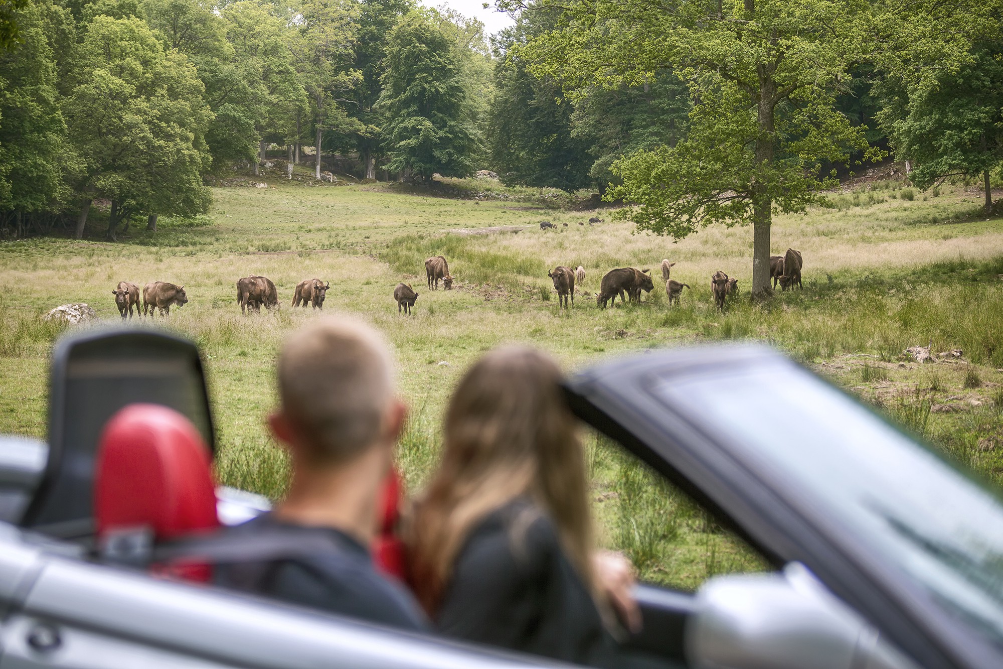 Eriksberg Vilt & Natur 