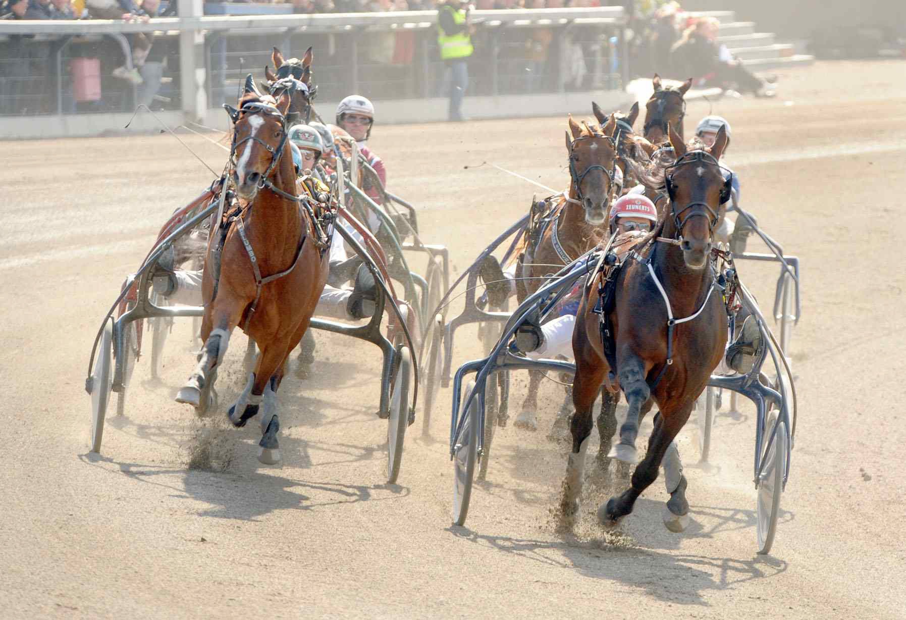 Åbytravet och Åby Arena