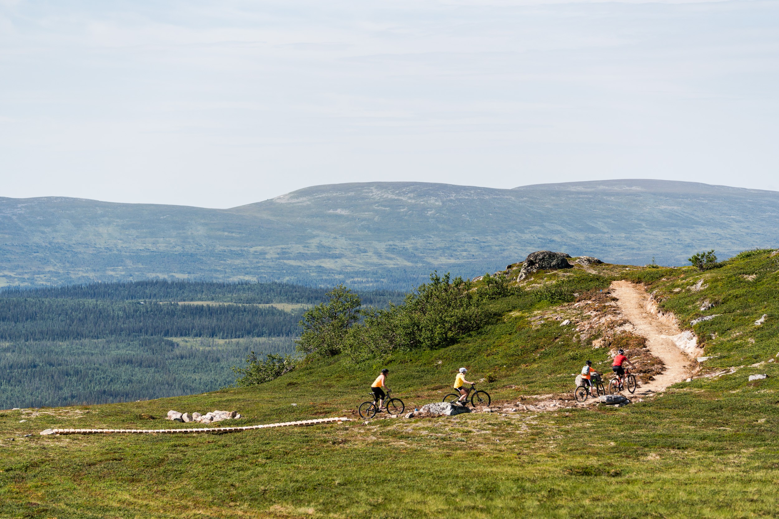 Stigcykling i Funäsfjällen