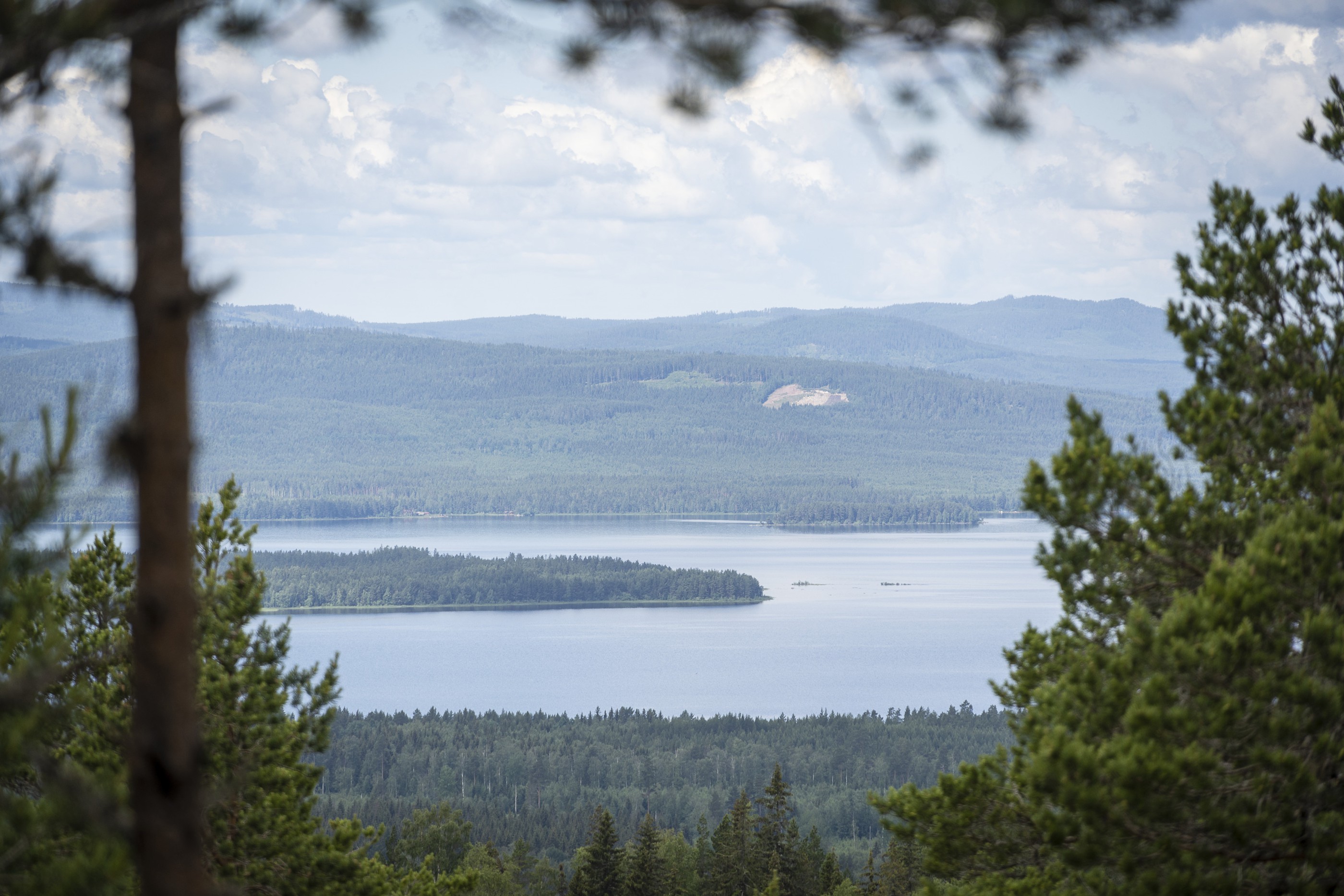 Naturum på hög höjd