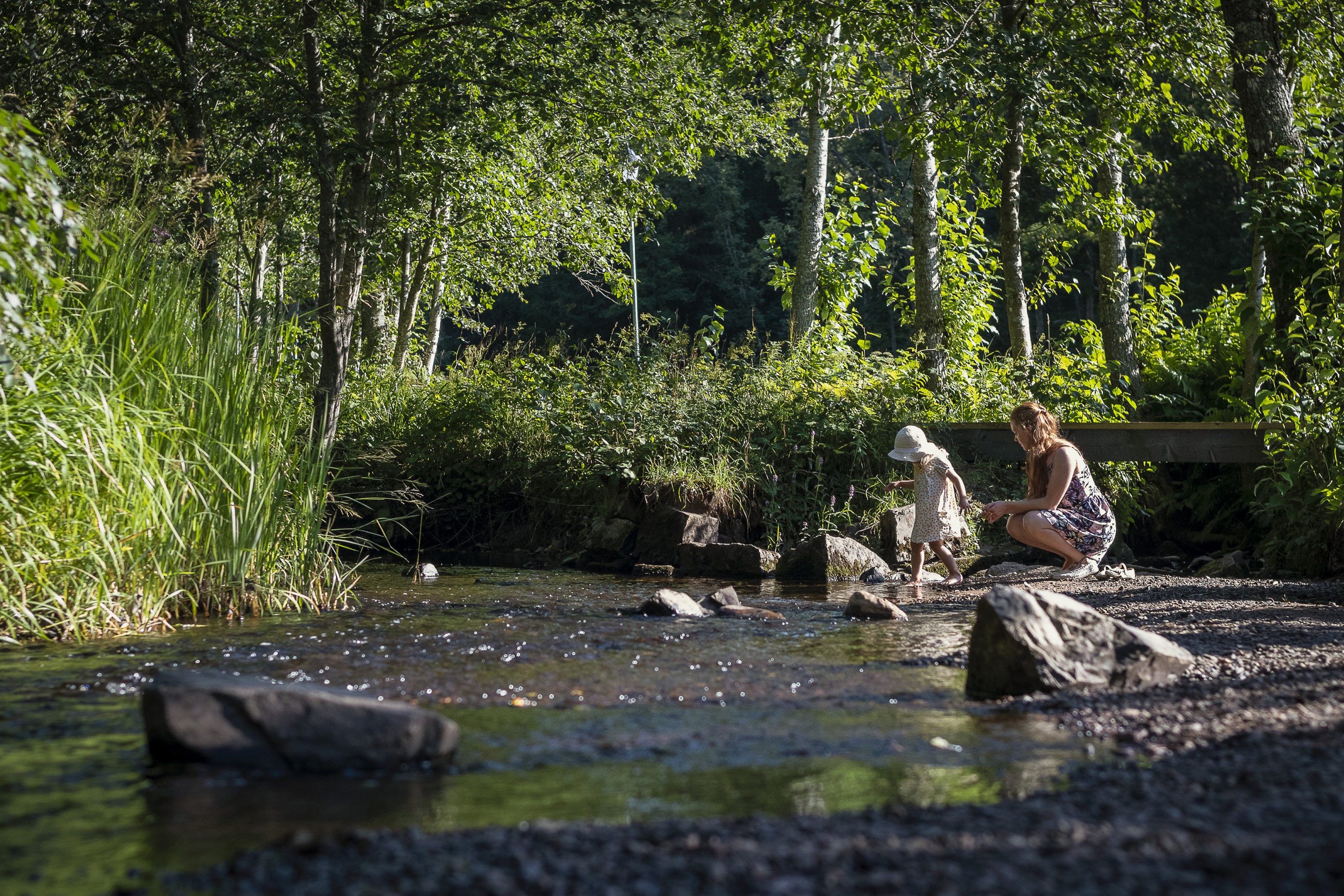 Magiska Säterdalen