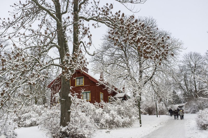 Skansen