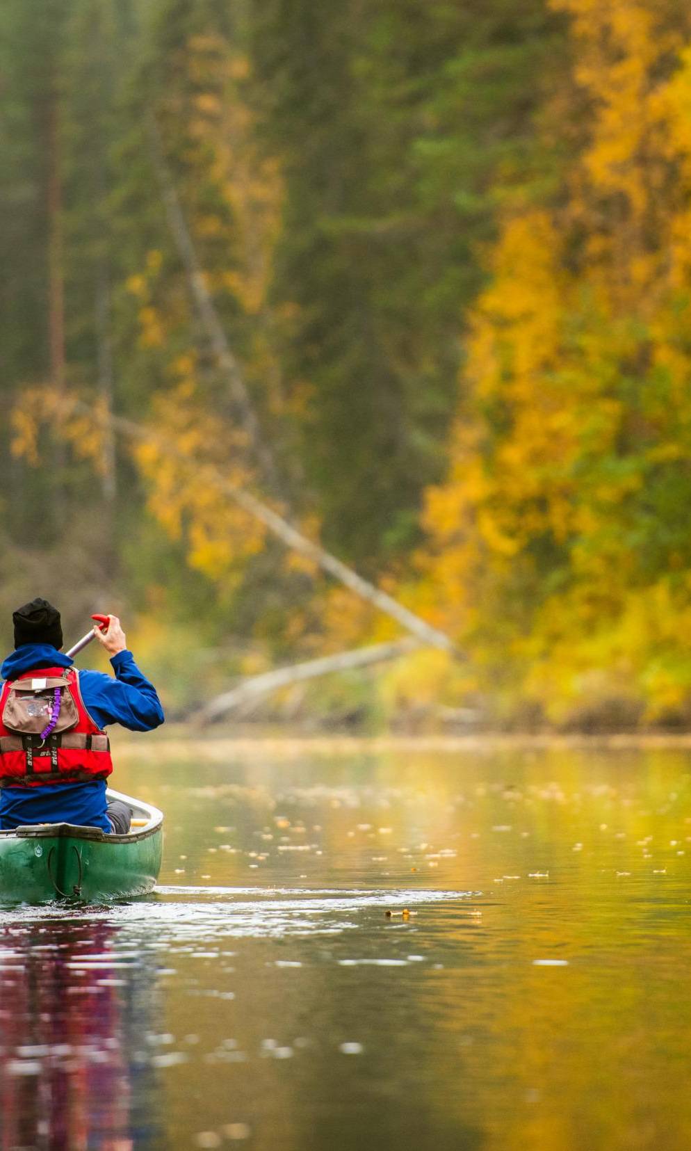 Kanufahren auf dem Fluss Byske