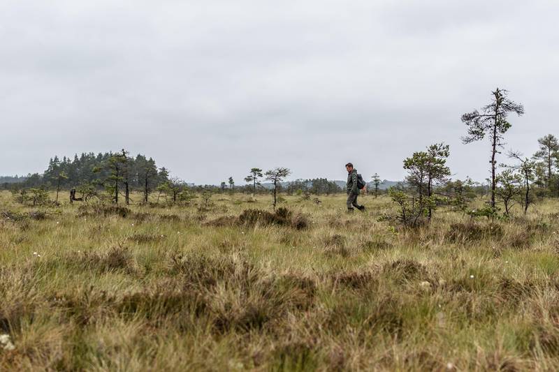 Nationalpark Store Mosse, Småland