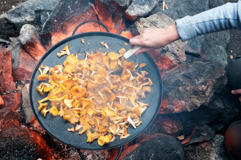 Forest delicacy