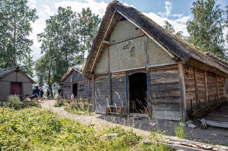 Wikingerdorf Birka