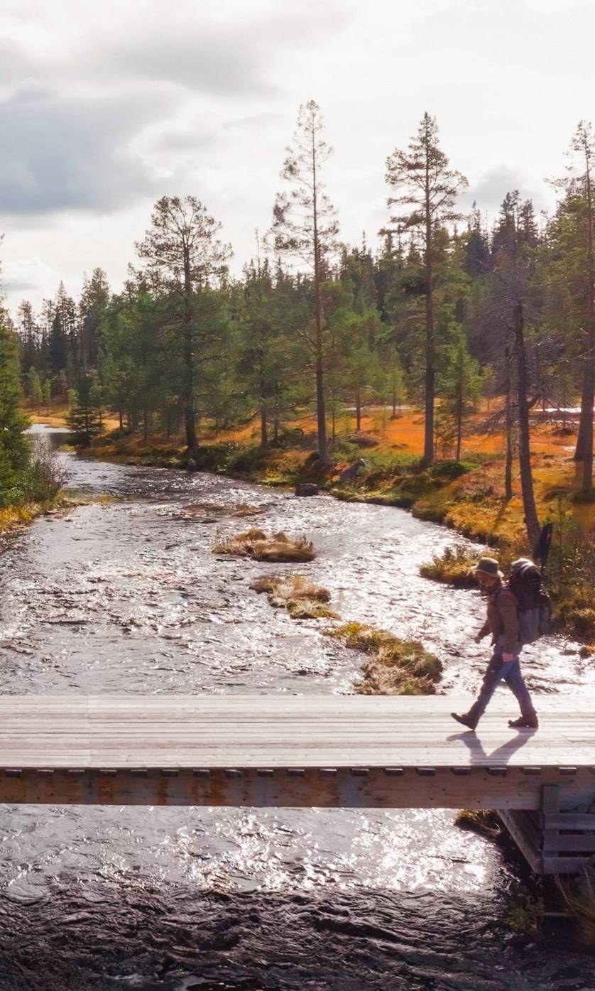 A man walking across a bridge over a river in a forest.
