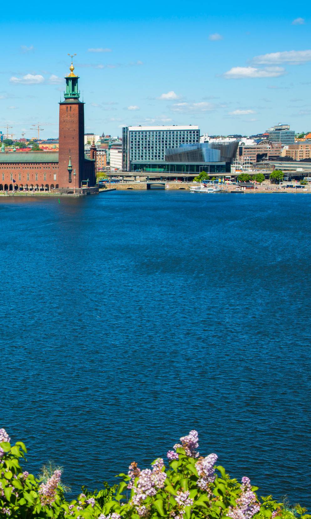 Un bateau naviguant sur l'eau devant l'hôtel de Ville de Stockholm par une belle journée de printemps ensoleillée.