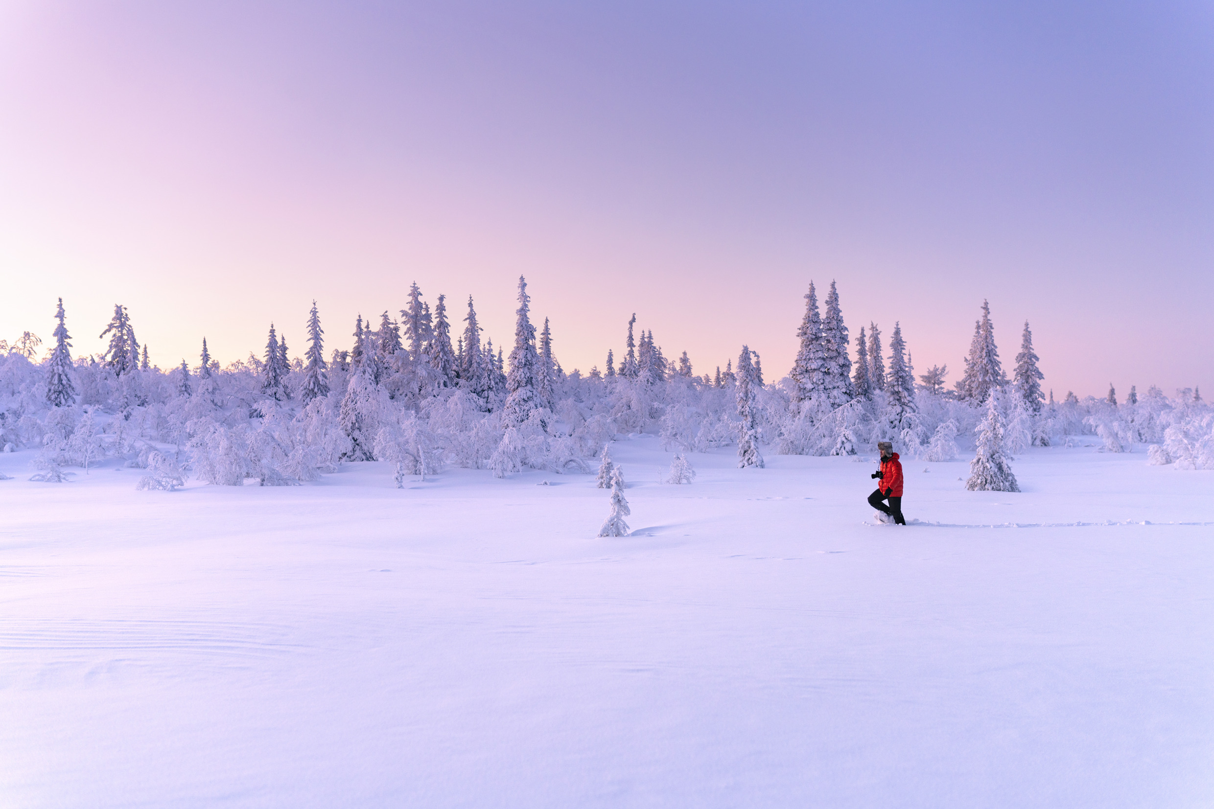 Person in red jacket walking through snowy landscape in Gällivare, Swedish Lapland, at dusk.