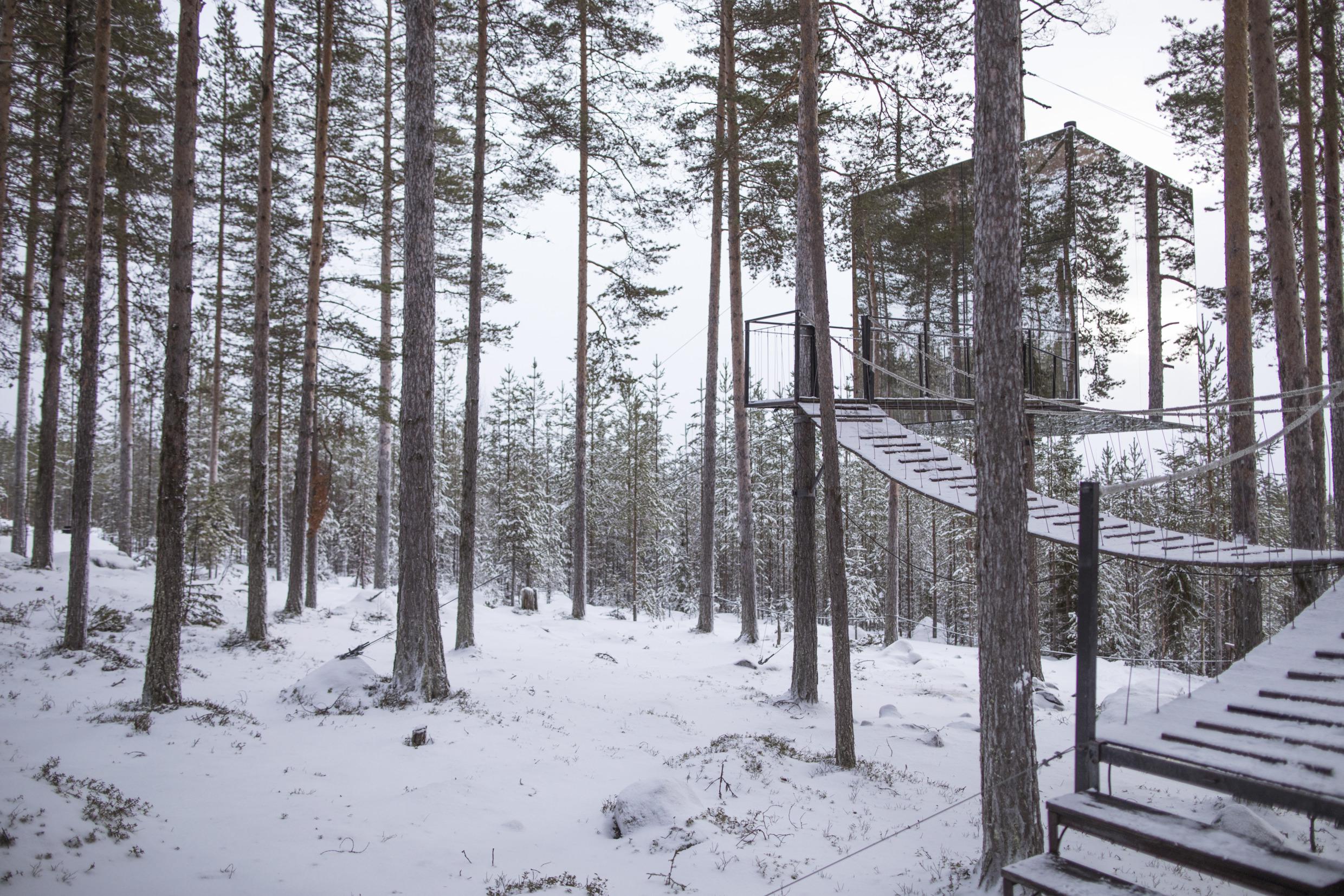 Treehotel in Swedish Lapland