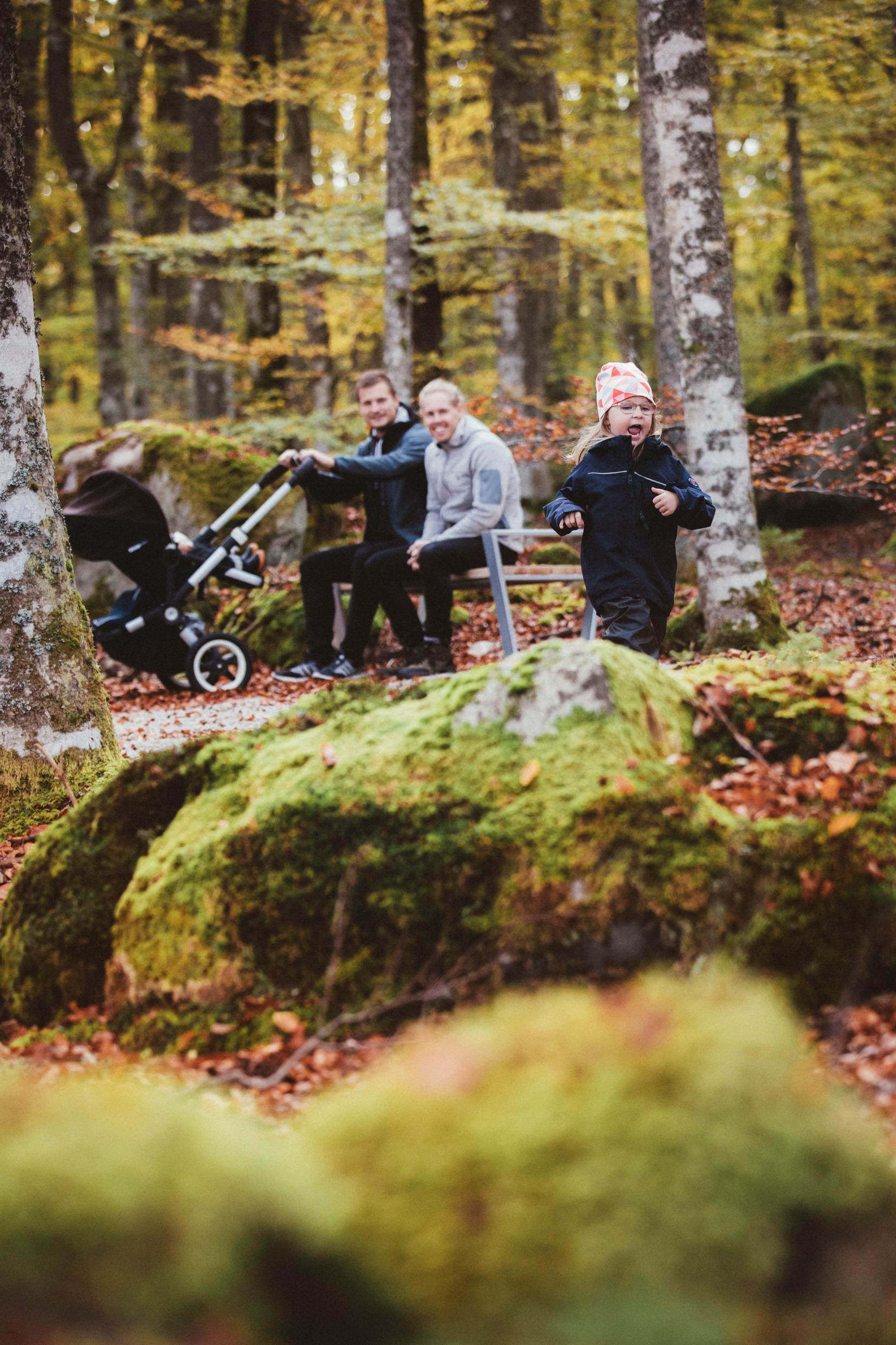 Trollberget
