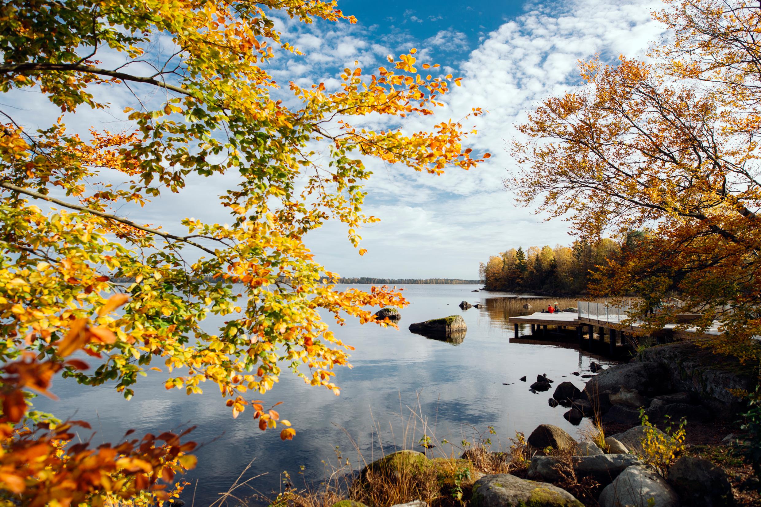 Herfst in het Nationaal Park Åsnen