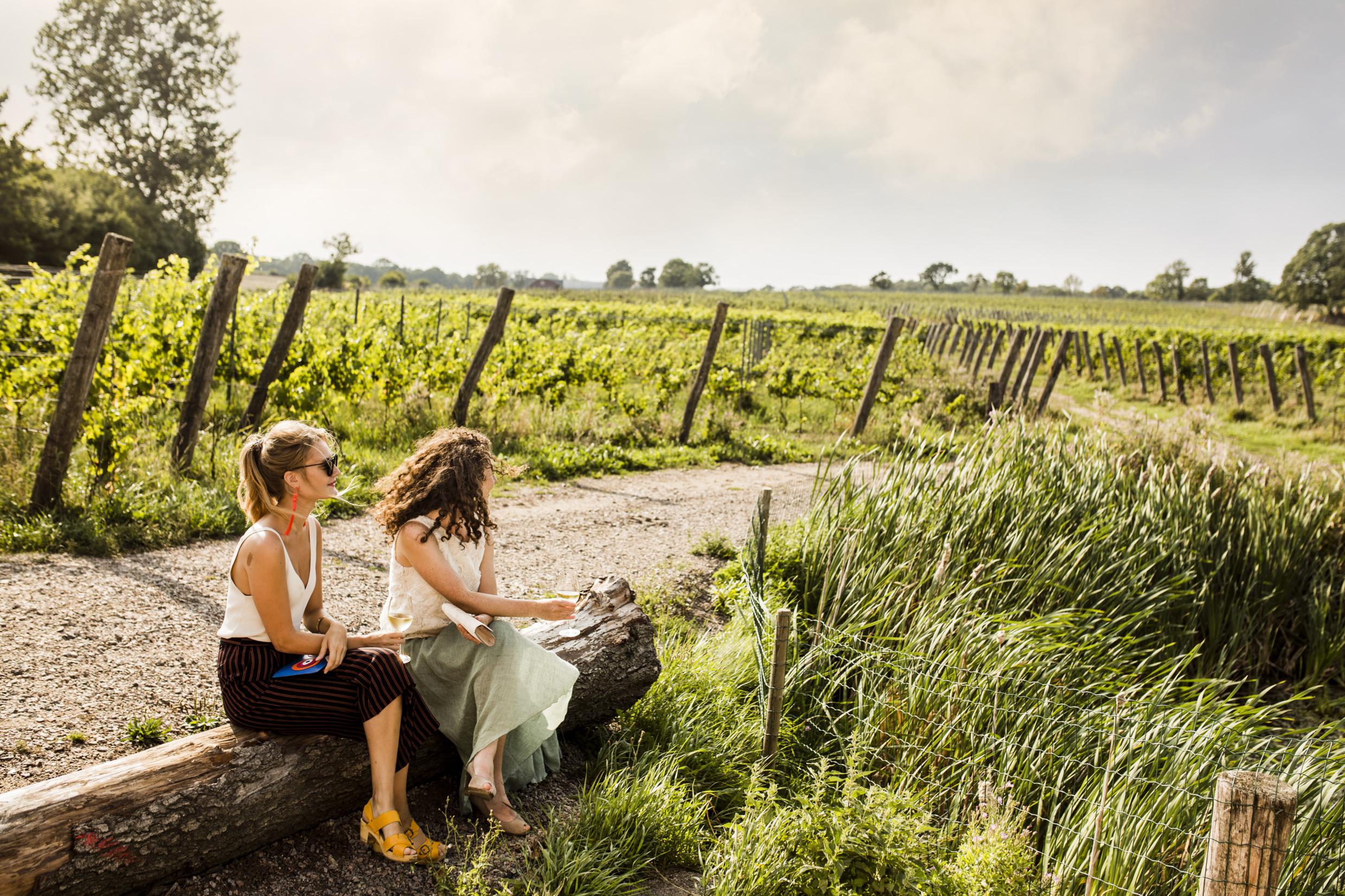 Arilds vineyard