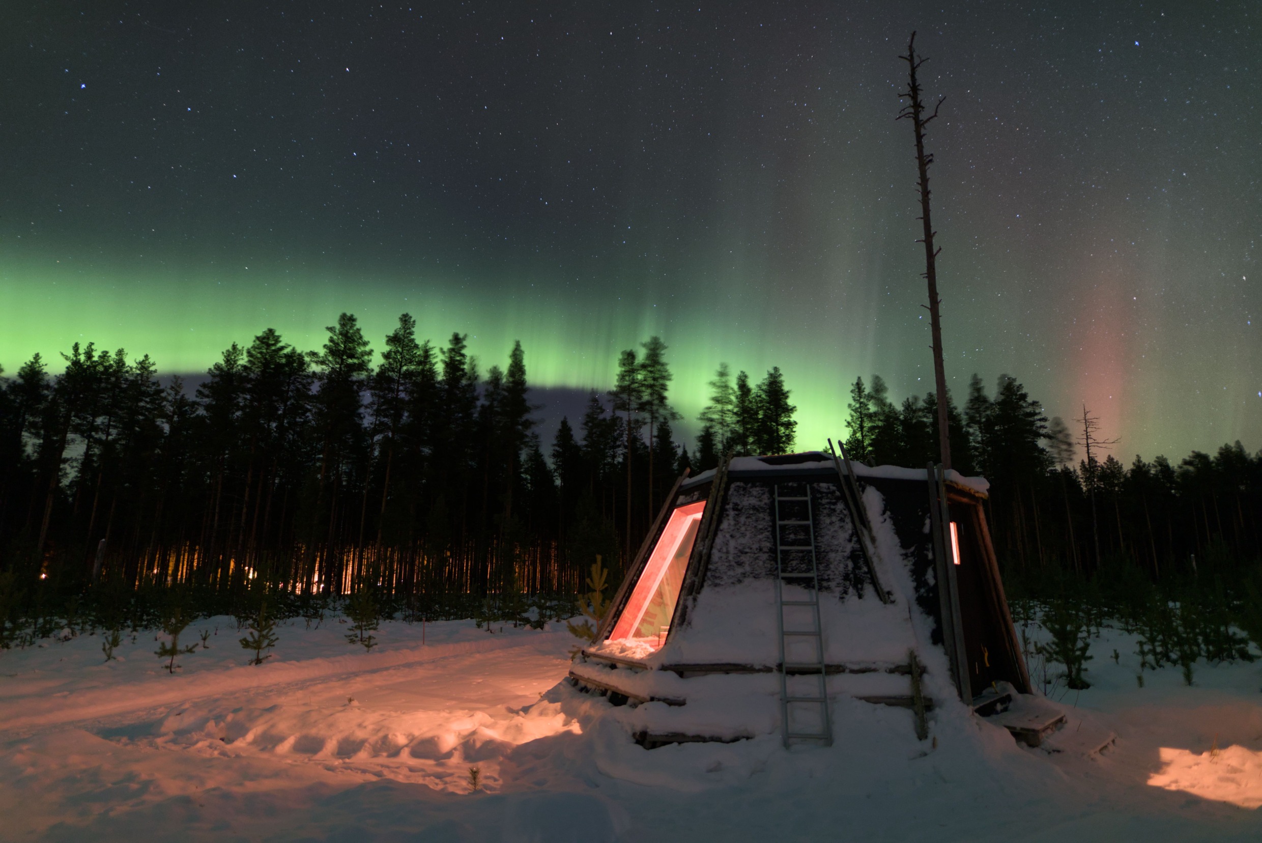 Snow-covered tepee hut in forest wi00th Northern Lights glowing above at night near Vindeln.