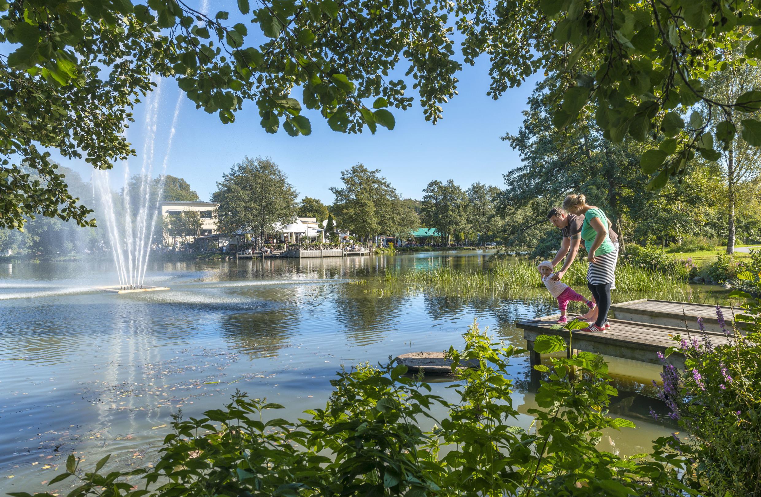Een gezin dat in de zomer naast een vijver in een park staat.