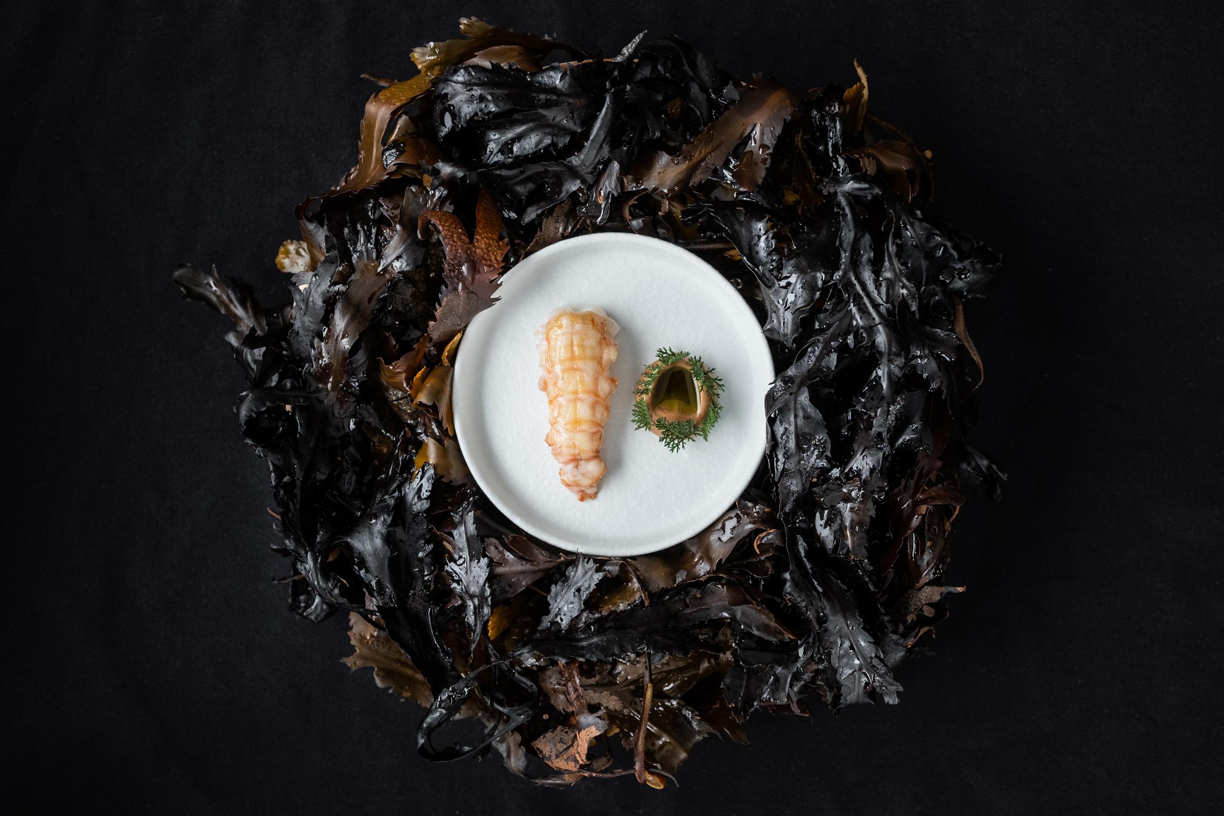 Lokale Krebse, geräucherte Wacholderzweigcreme, Dill und wilde Schafgarbe im Restaurant ÄNG