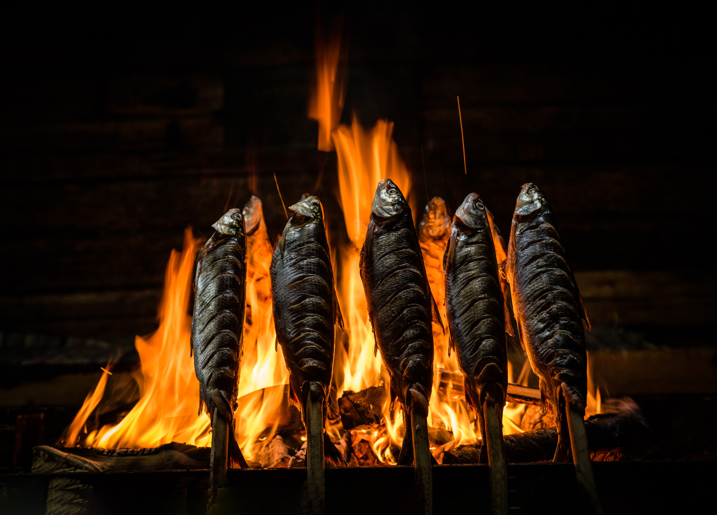 Whole whitefish roasting vertically over open flames at the Kukkola rapids.