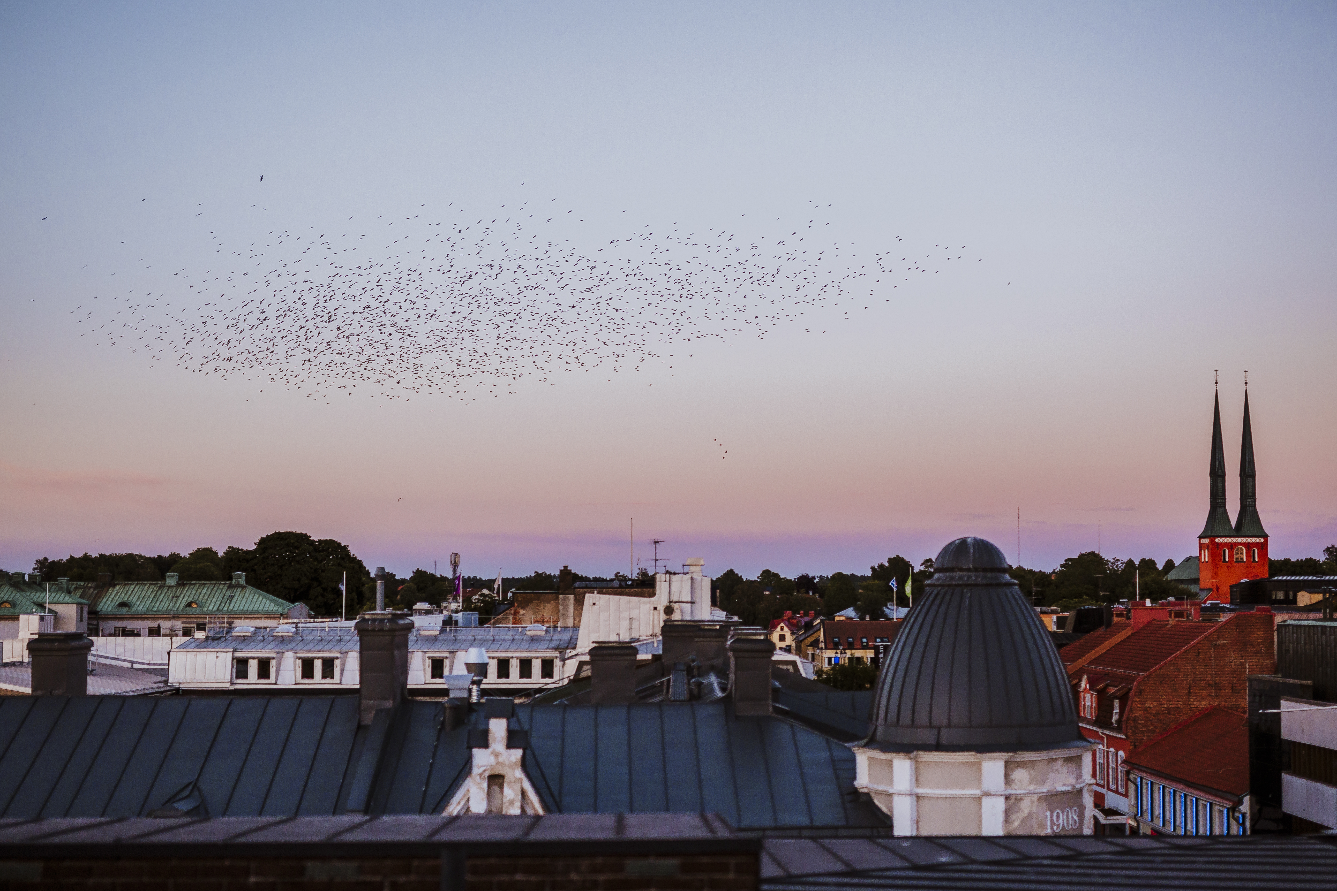 Een zwerm vogels die boven de daken en de twee torenspitsen van de kathedraal van Växjö in Zweden rondcirkelt, tegen een roze en blauwe schemerhemel.