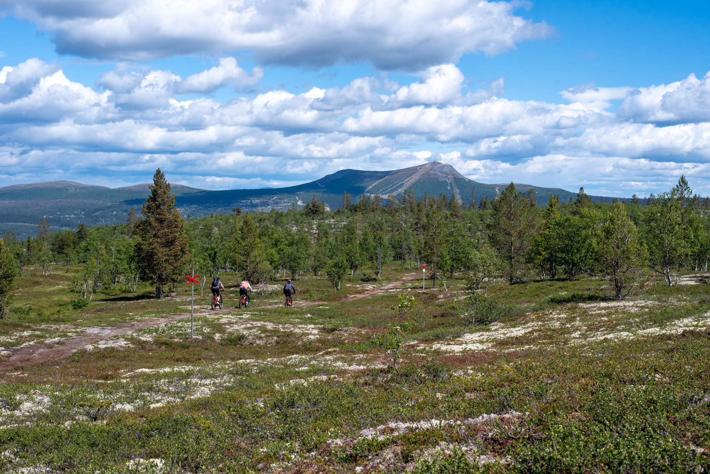 Mountain biking bij Lofsdalen