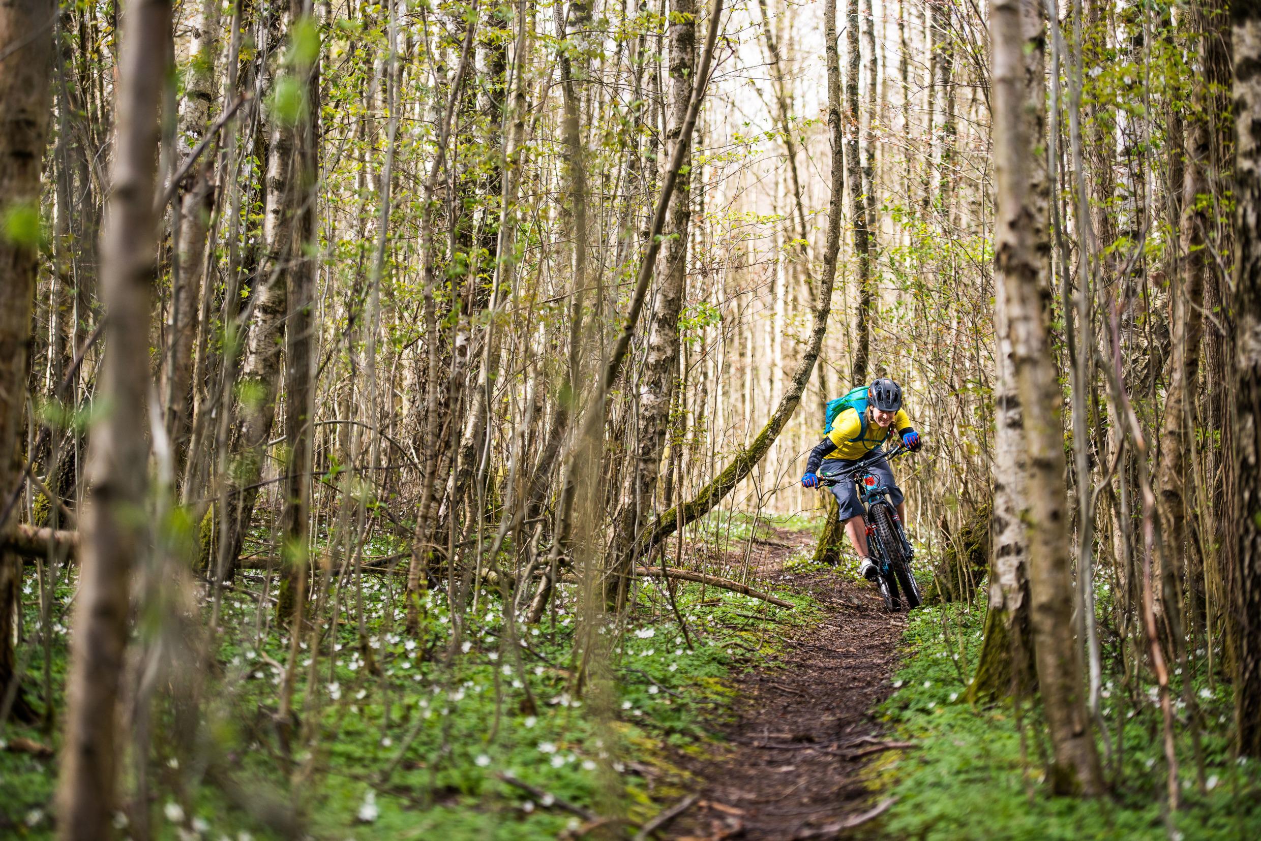 Mountainbiken im Naturschutzgebiet Änggårdsbergen, Göteborg
