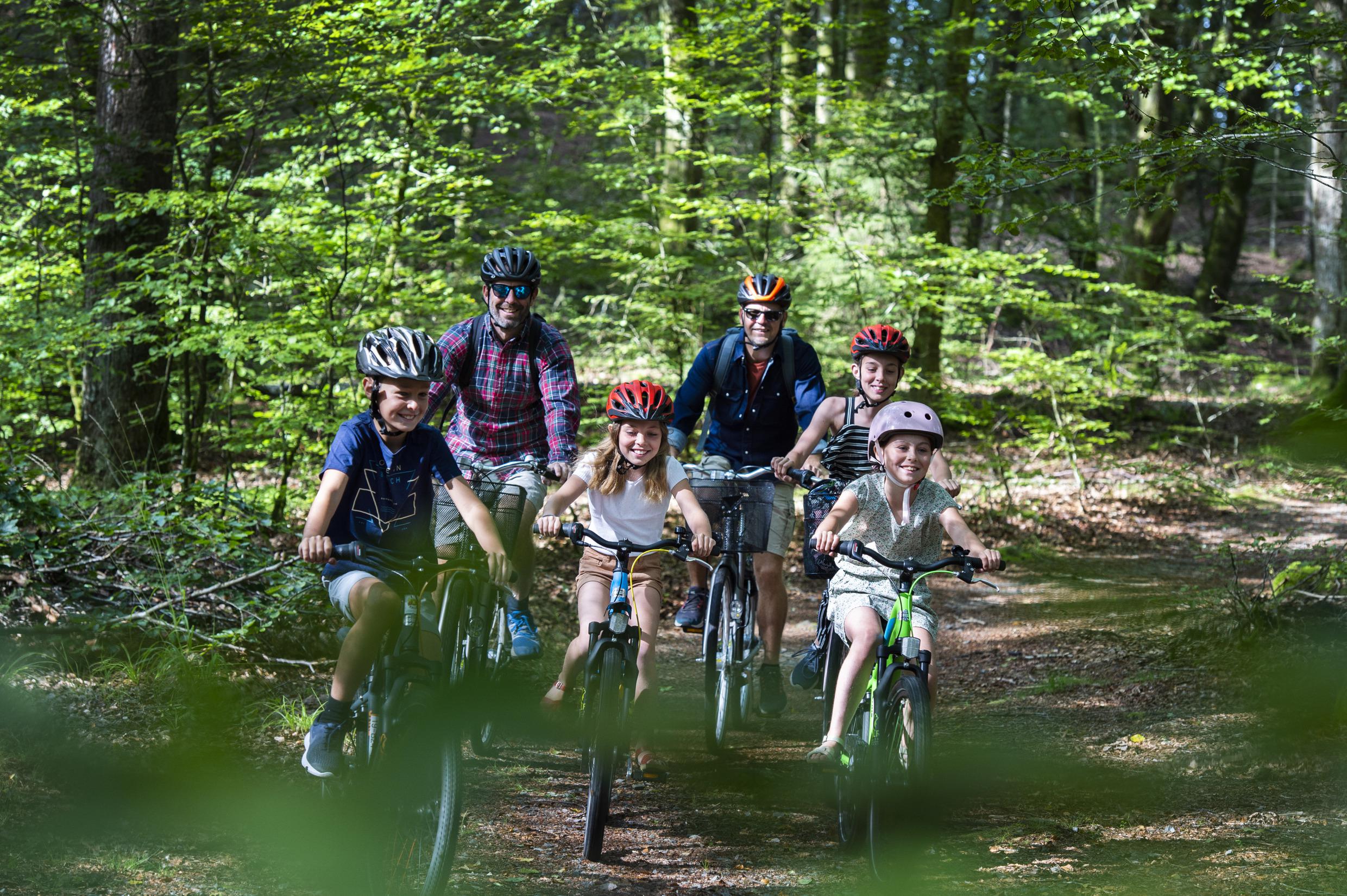 Fietsen in het bos