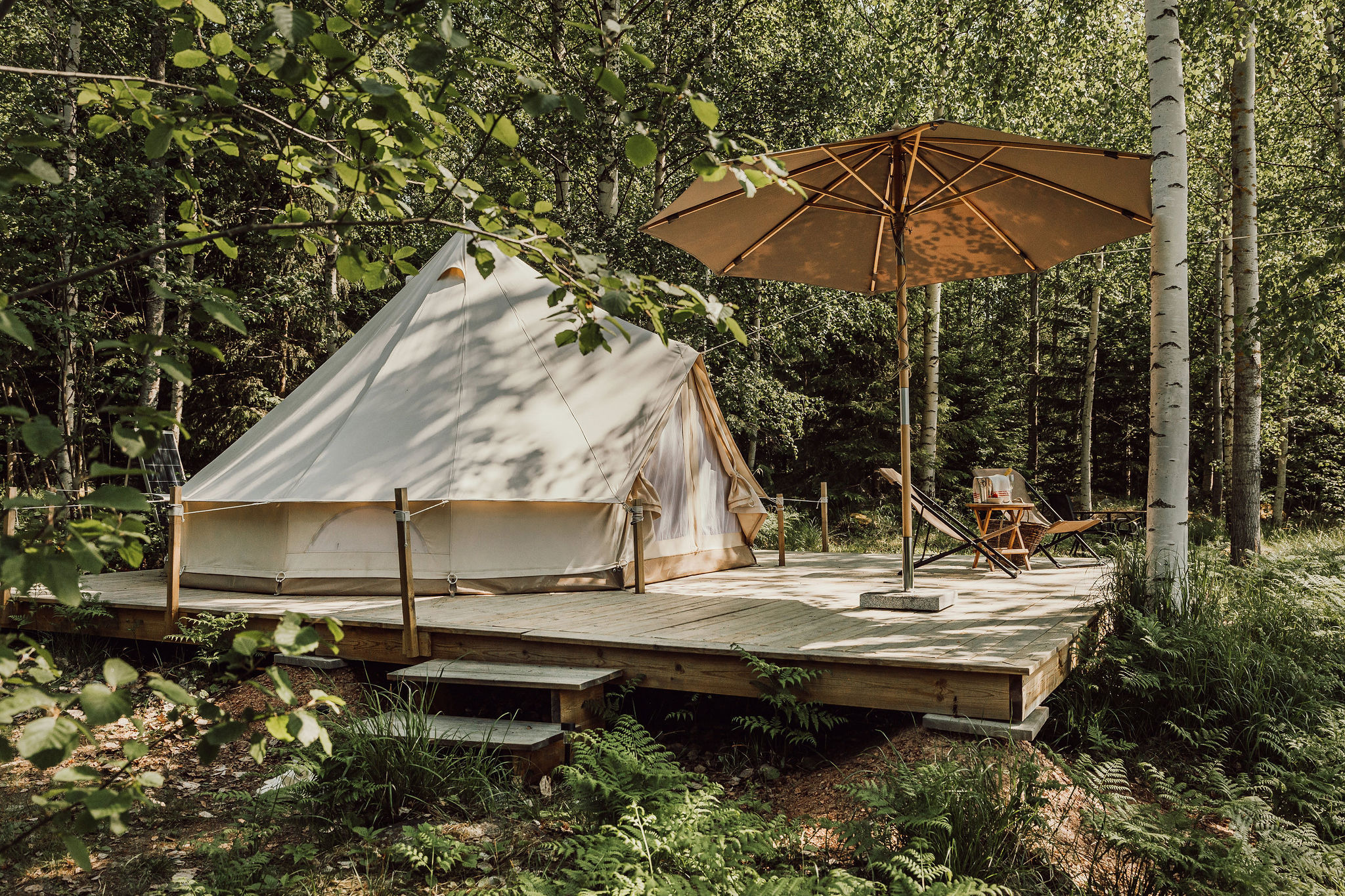 lampingzelte stehen auf einer Holzterrasse in einem Birkenwald bei Hästnäs Logi in Hälsingland, Schweden, und sind mit einem Sonnenschirm, Stühlen und einem kleinen Tisch ausgestattet.