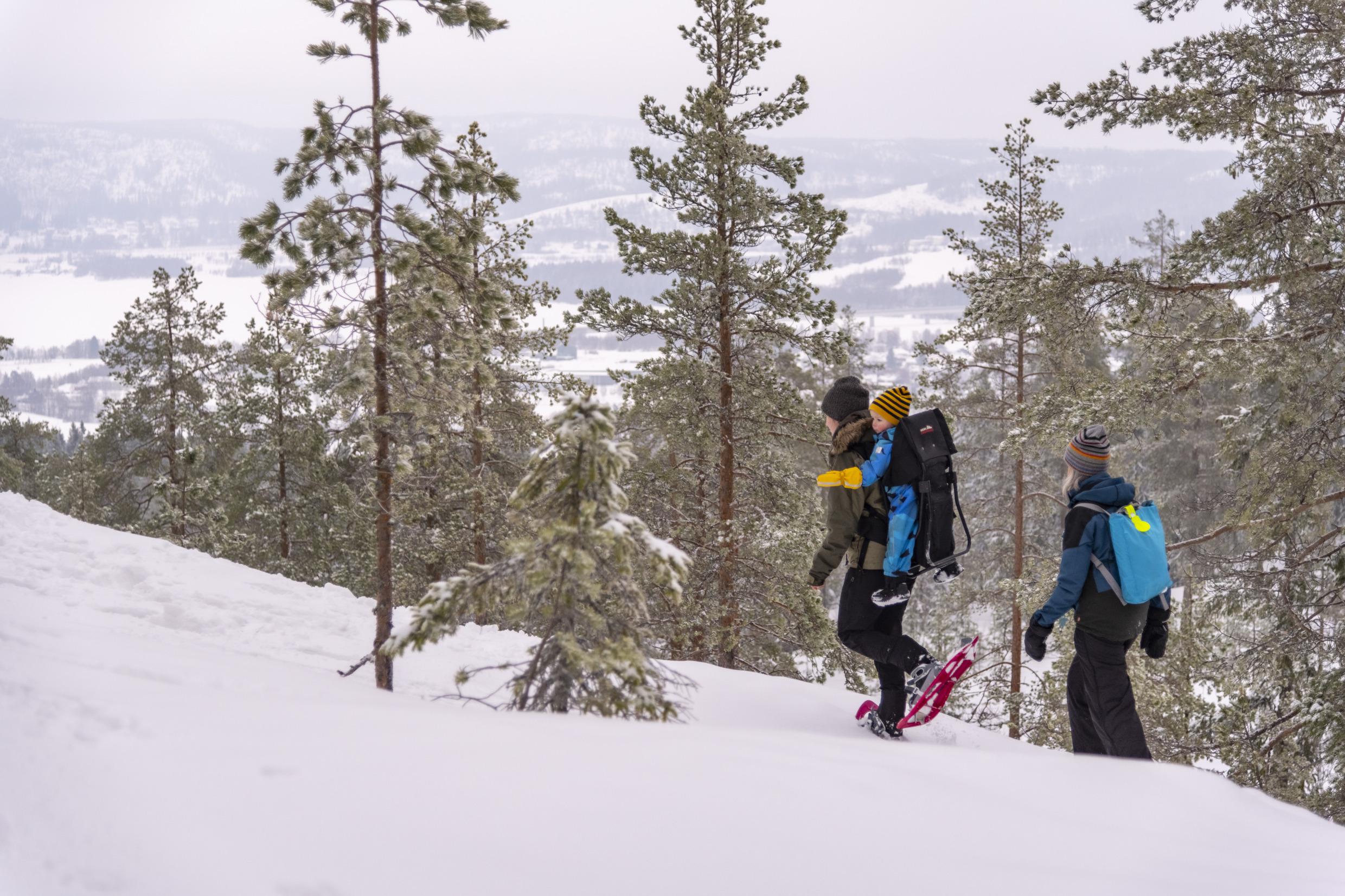 Zwei Personen gehen mit Schneeschuhen einen schneebedeckten Hügel hinauf. Einer trägt ein Kind.