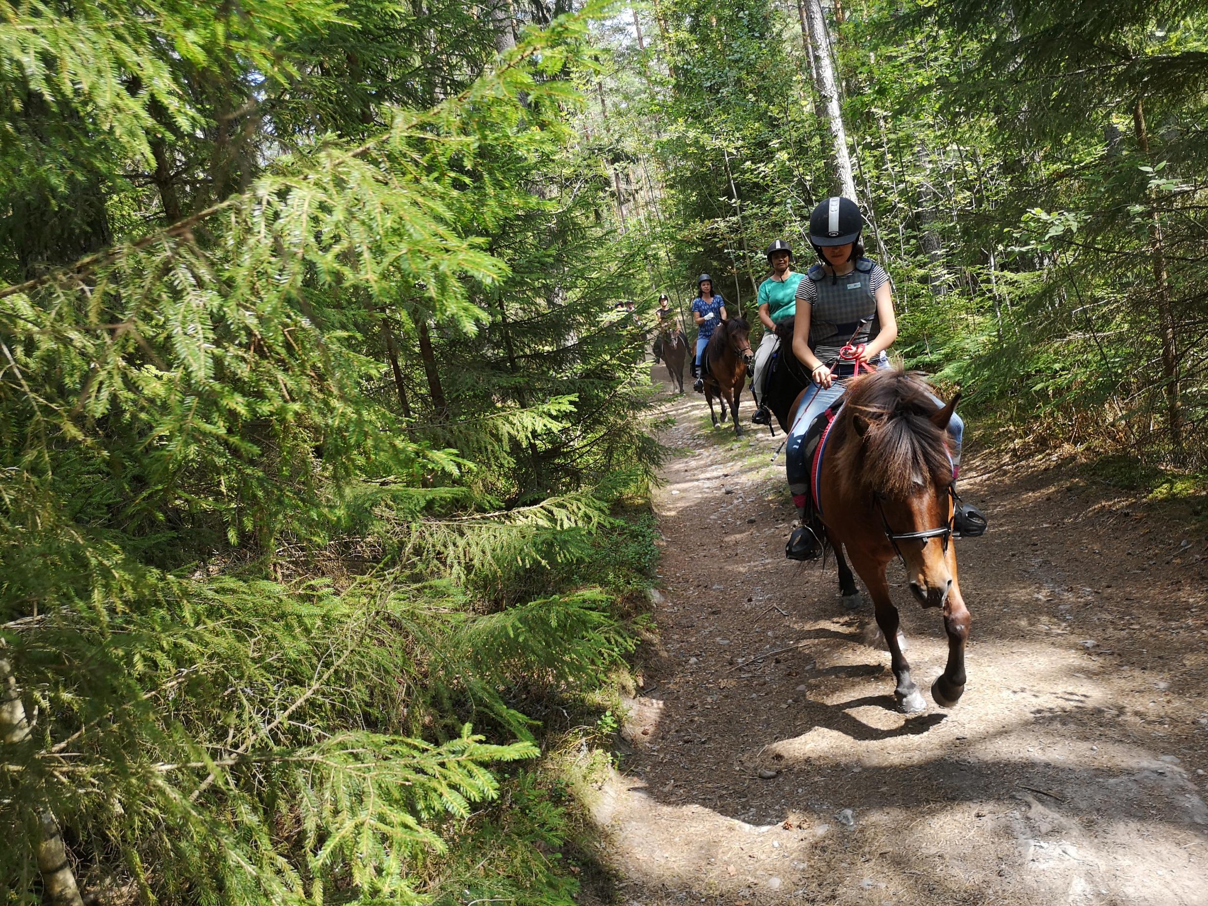 Ridled Sörmland