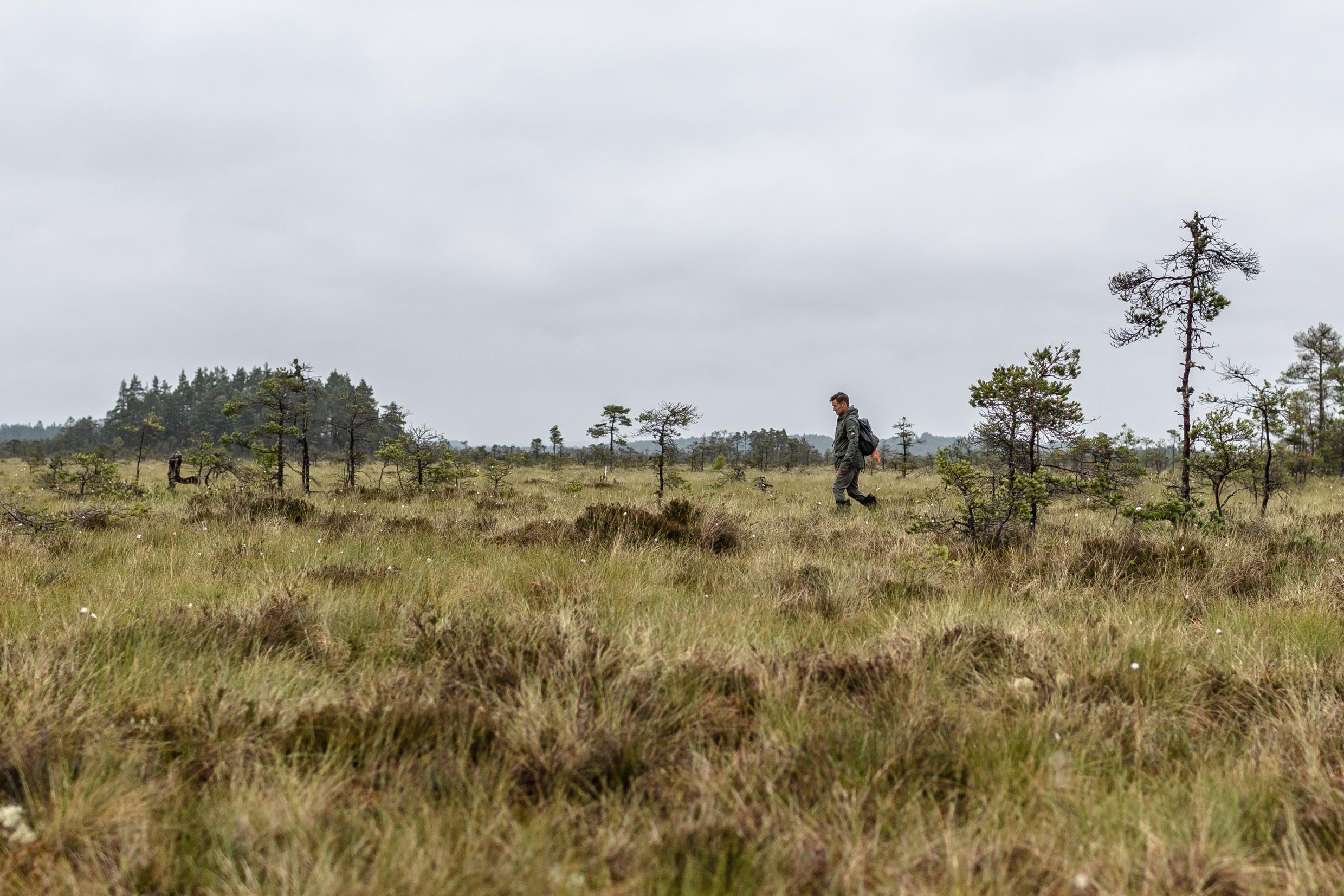 Nationalpark Store Mosse, Småland