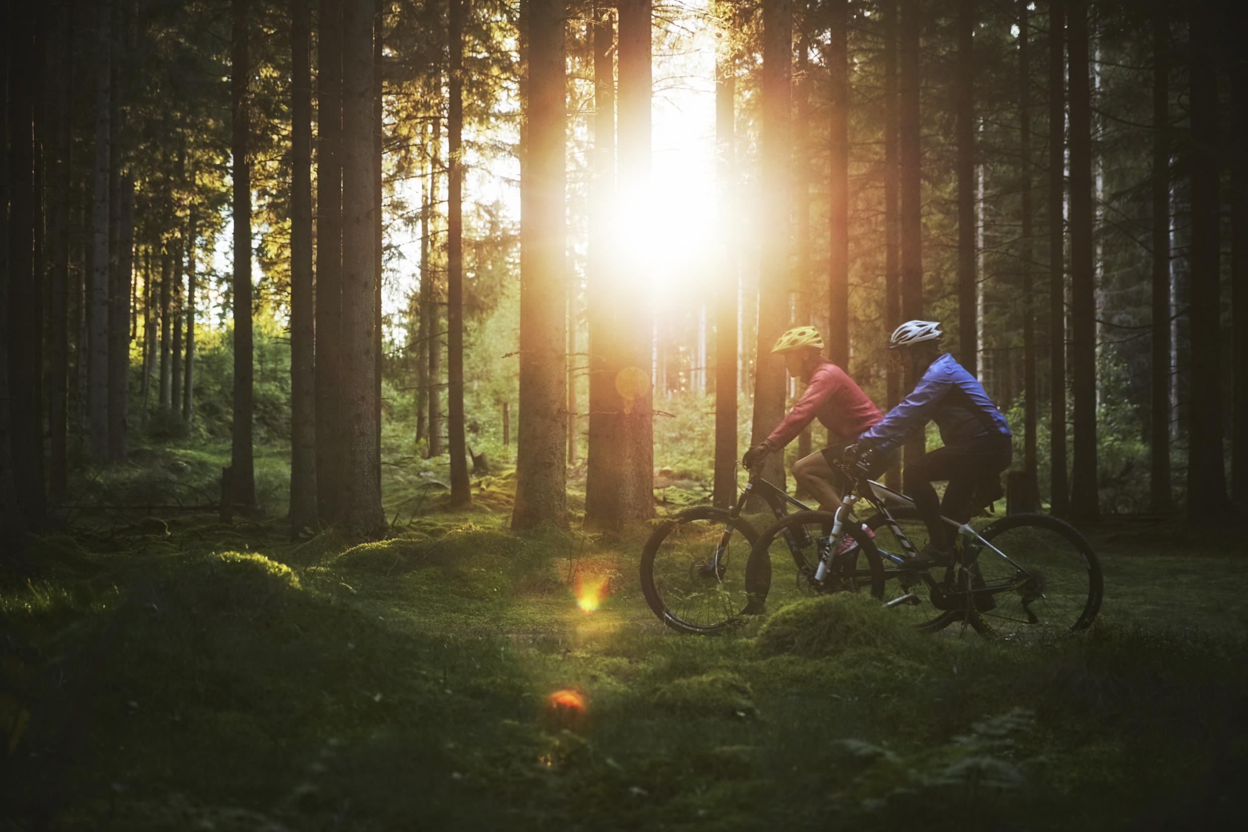 MTB i Isaberg, Småland
