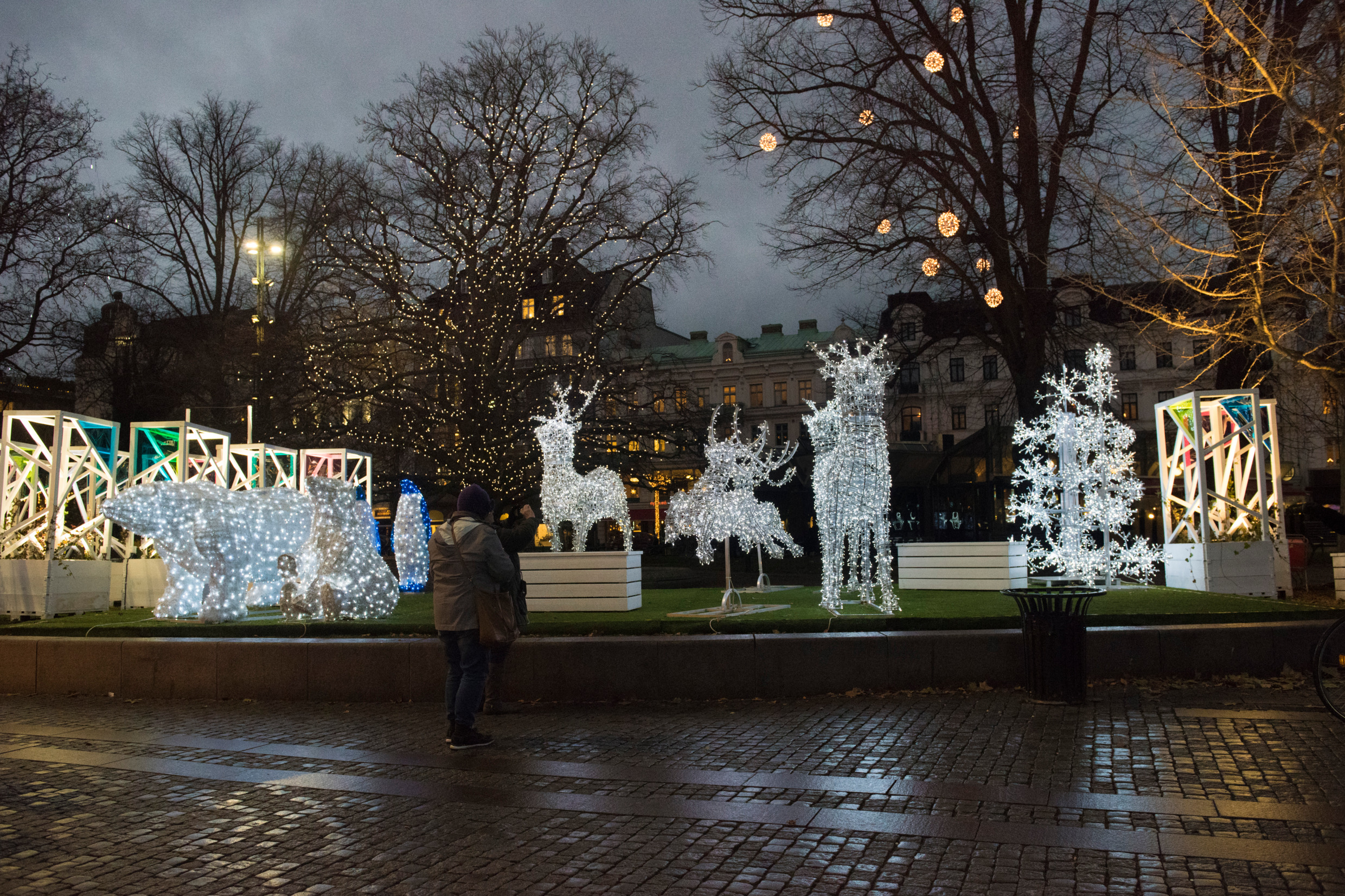 À la tombée de la nuit, une place publique est illuminée par des lumières colorées et des sculptures métalliques d'animaux recouvertes de lumières.