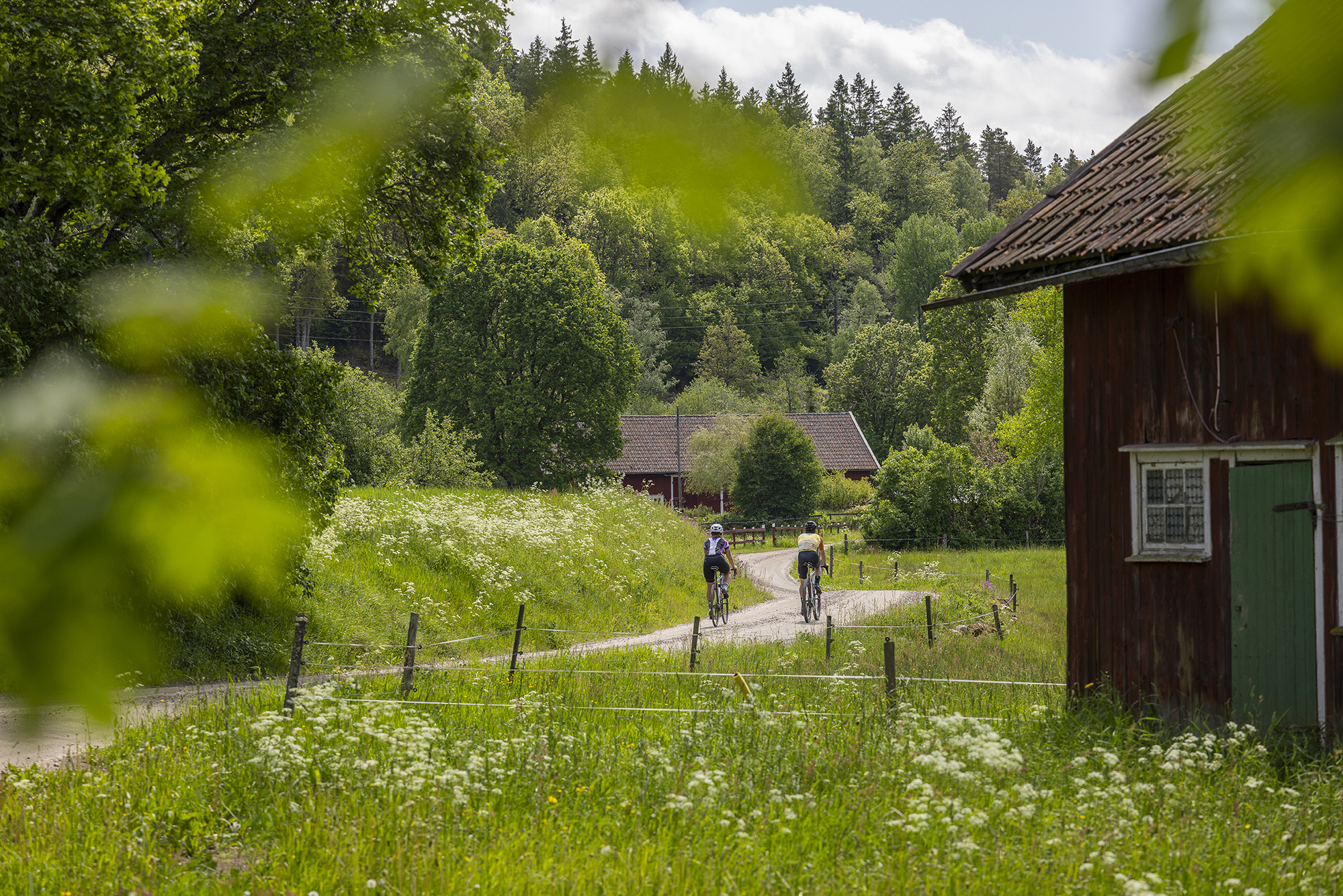 Cyclists riding on a gravel road through green countryside in West Sweden.