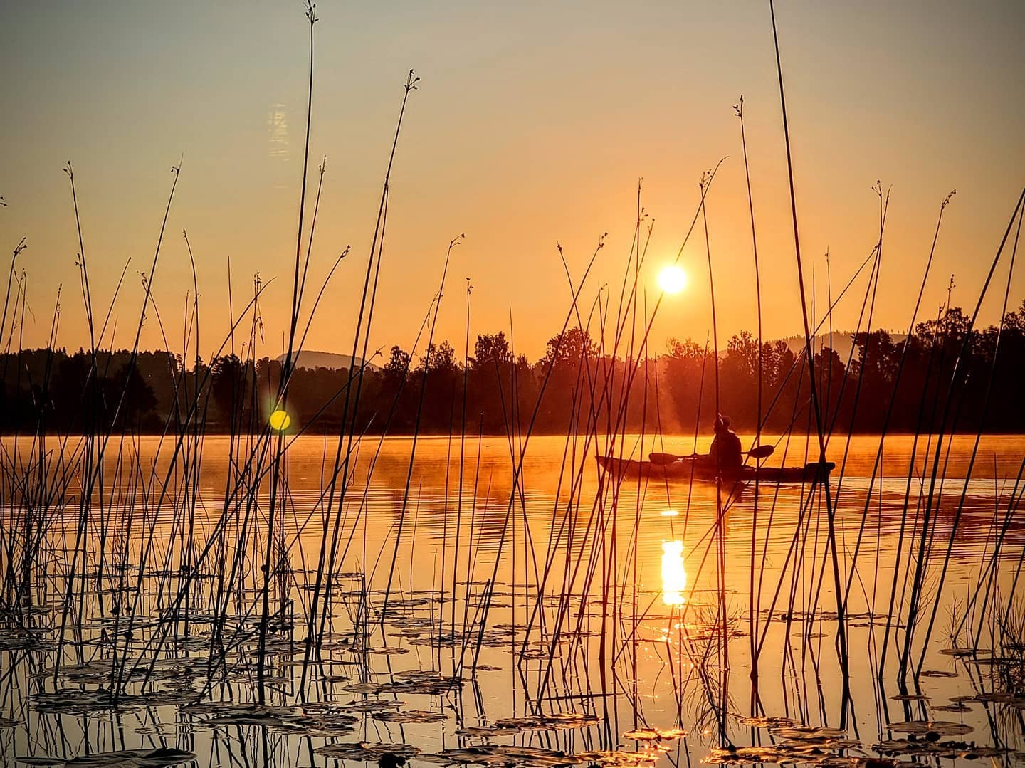 Iemand die aan het kajakken is op een rustig meer in Hälsingland, omringd door riet en het warme licht van de laagstaande zon.