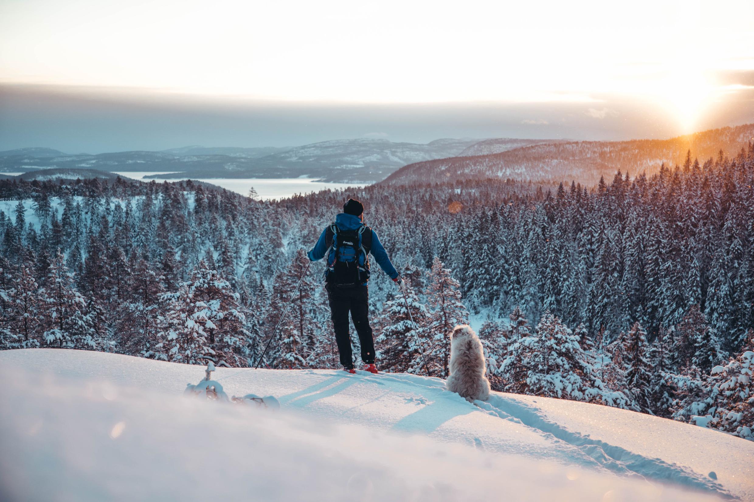 Nationalpark Skuleskogen