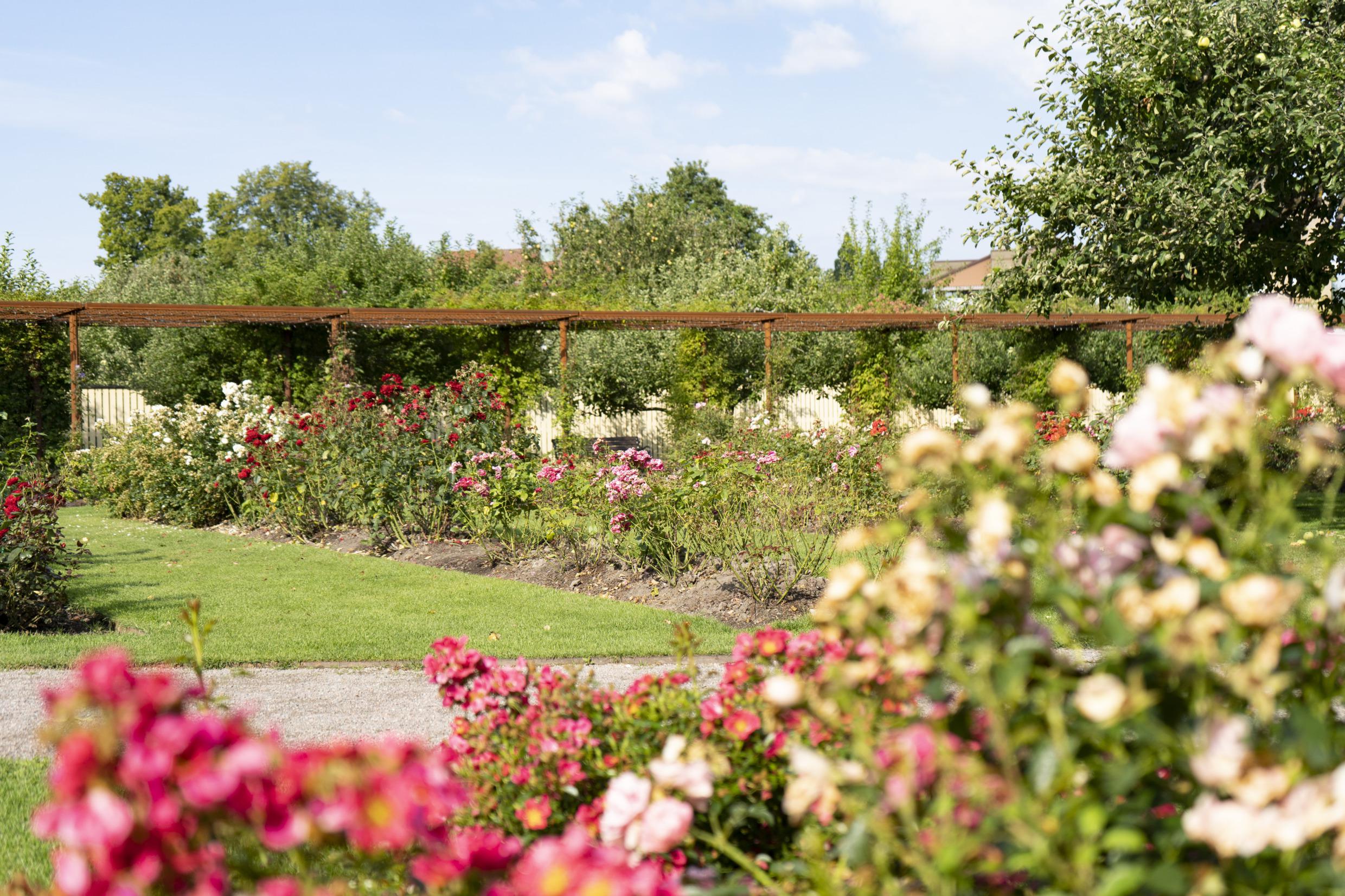 Stadtpark in Örebro