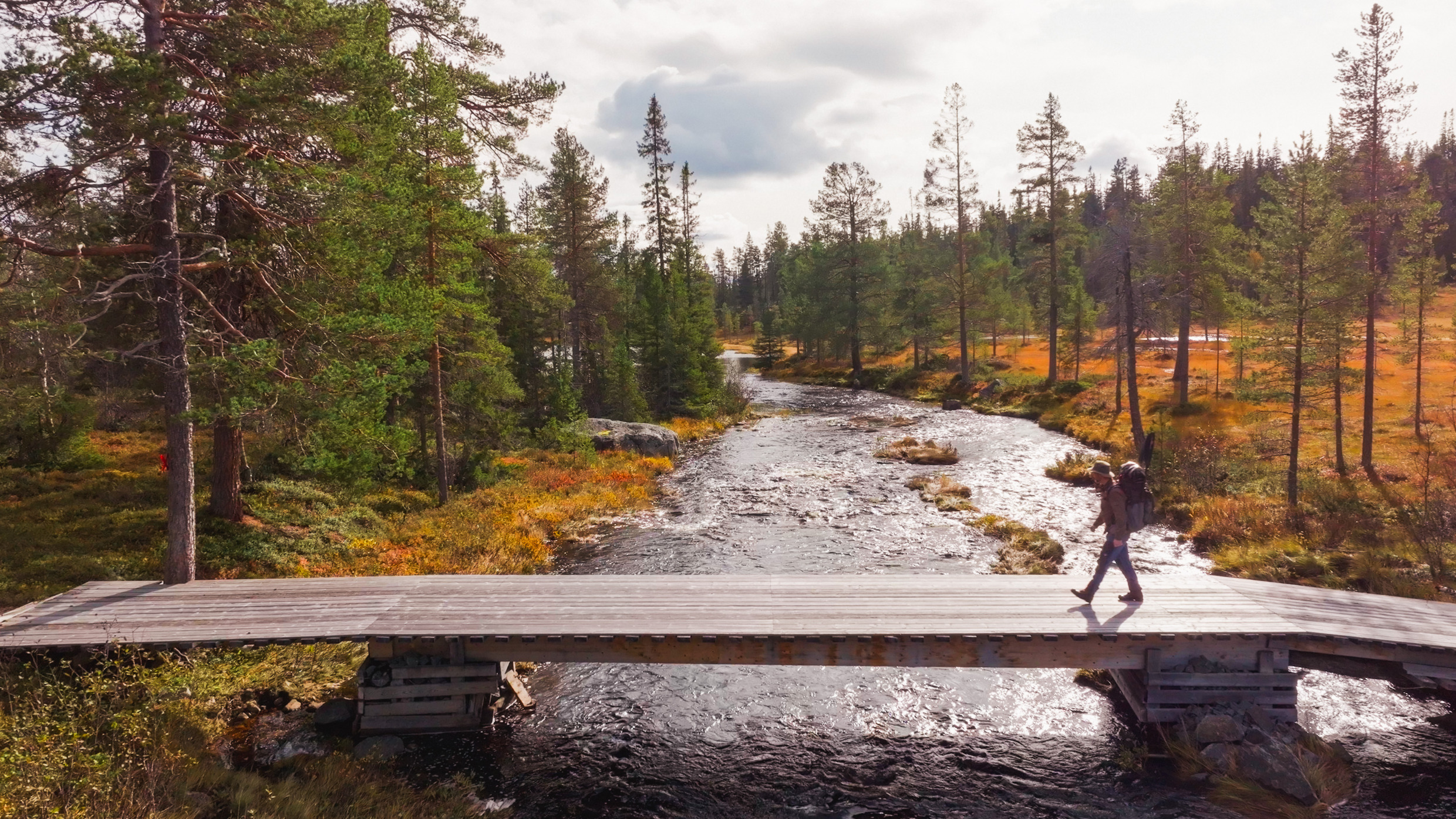 A man walking across a bridge over a river in a forest.