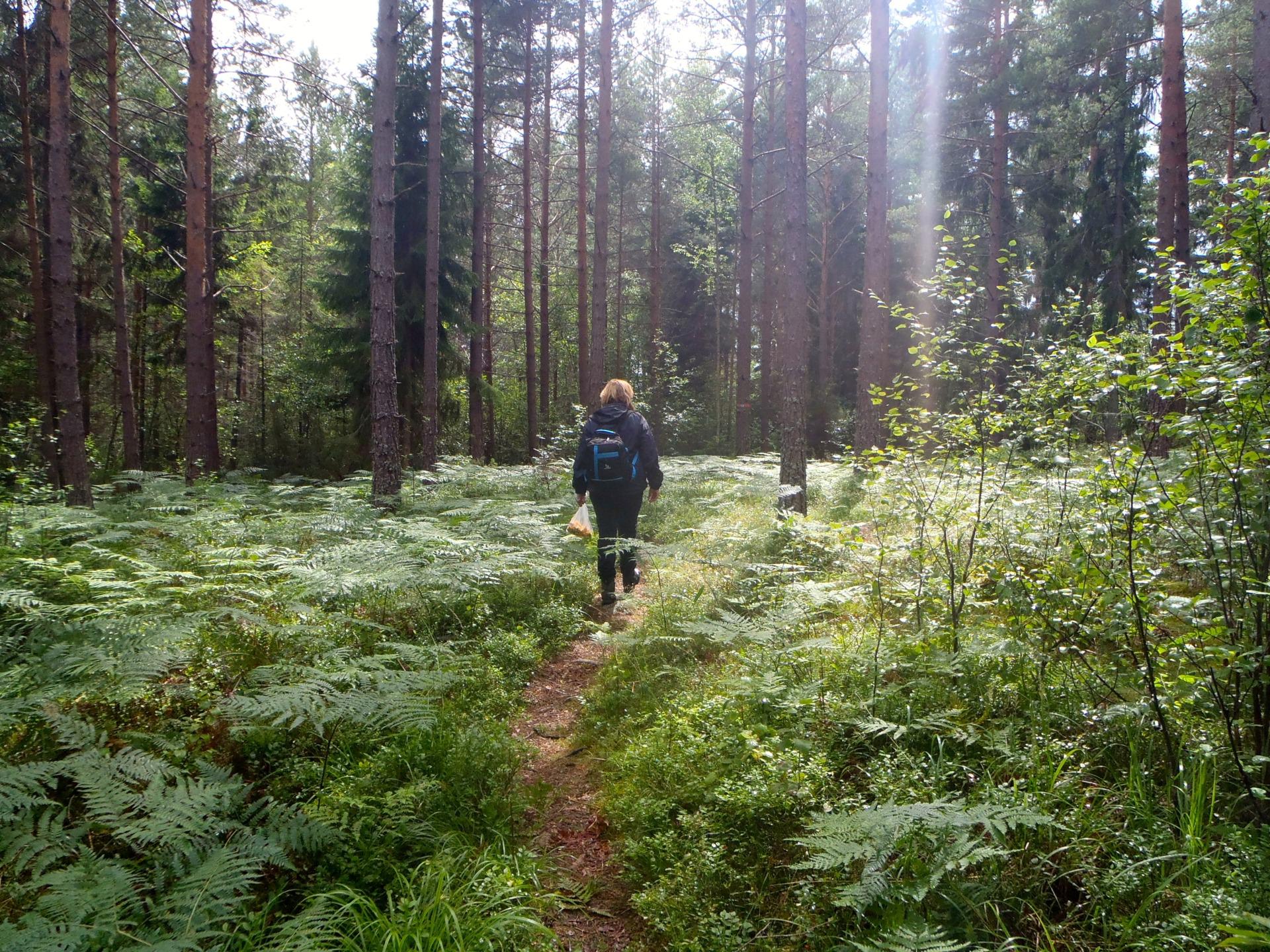 Auf dem Sörmlandsleden