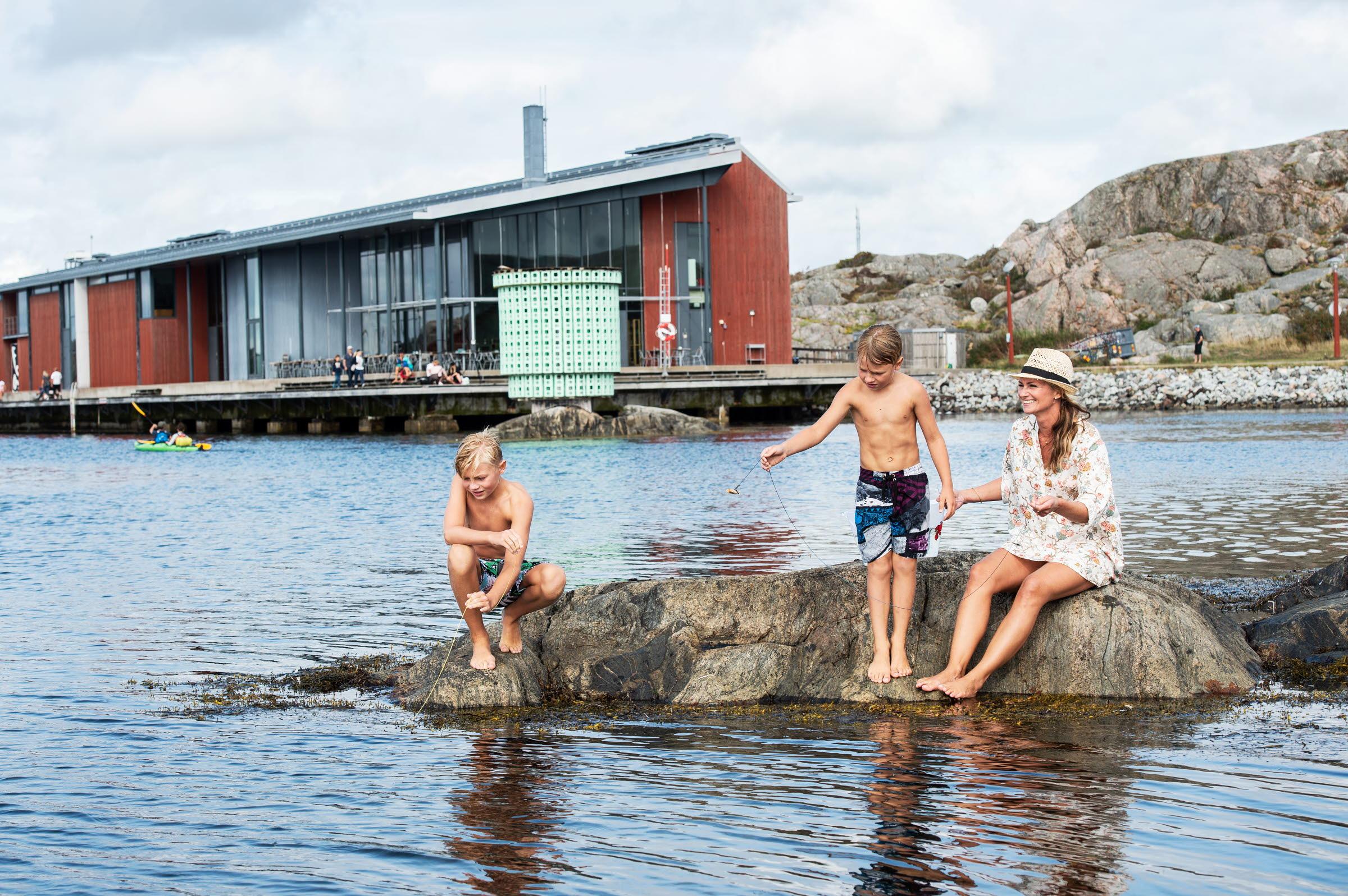Krabbetjes vissen in Skärhamn