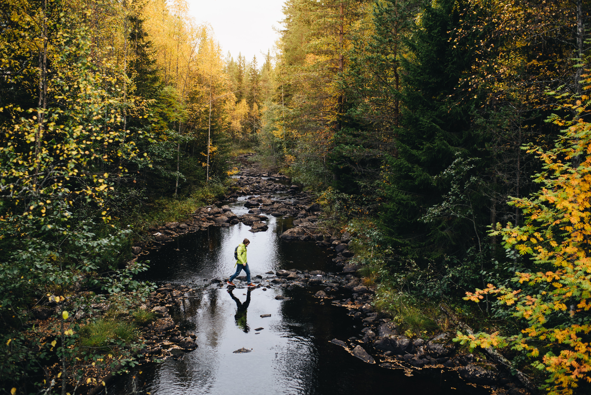 Iemand loopt in de herfst over rotsen in een rustig bosbeekje, omringd door dikke bomen in Hälsingland.