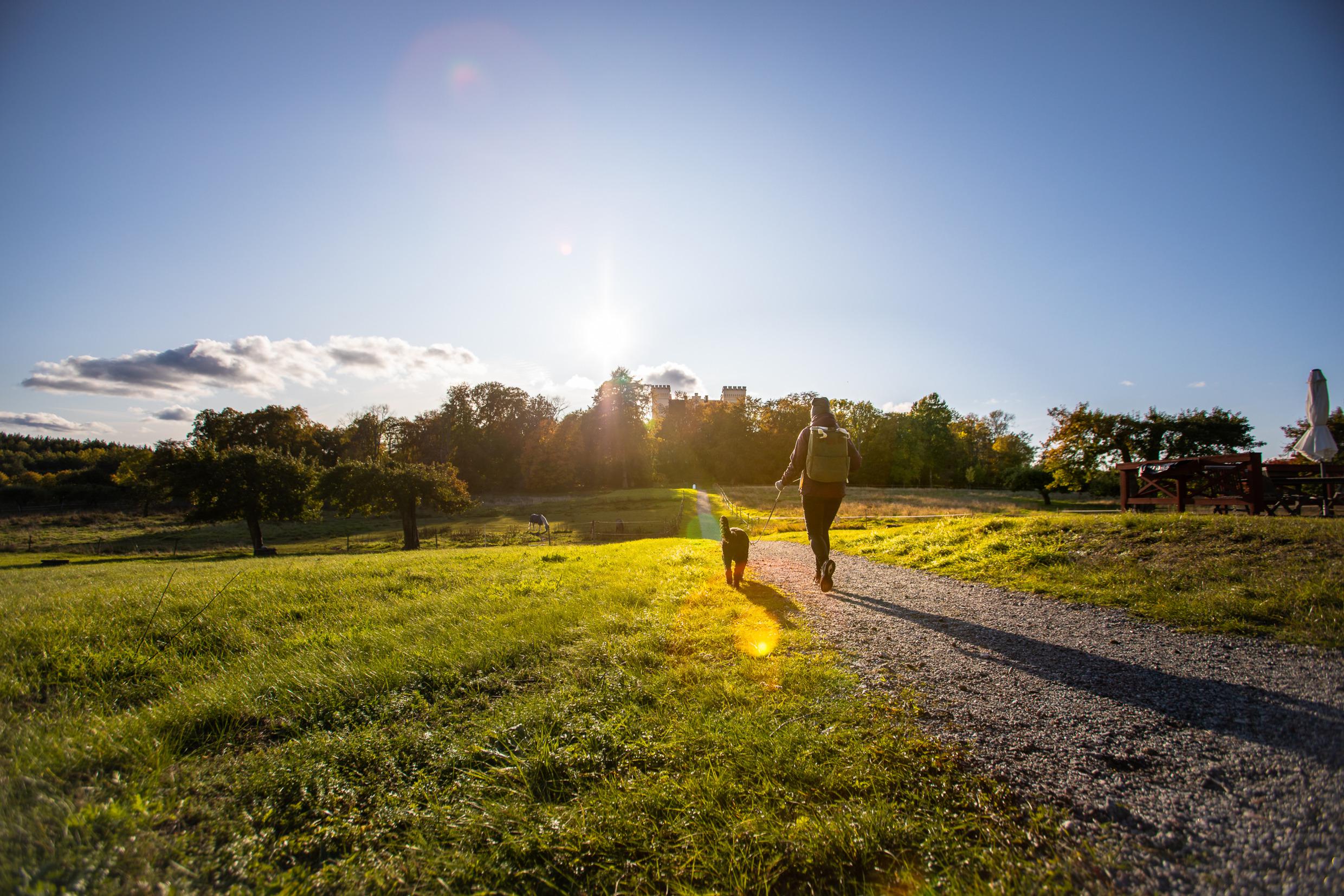 The back of a woman who is hiking with a dog towards a castle visible behind a forest. There are meadow along the way and horses in a paddock.
