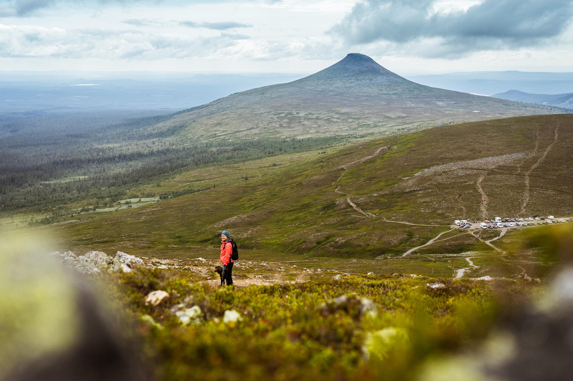 Eine Frau beim Wandern mit einem Hund in Idre Fjäll, Dalarna.
