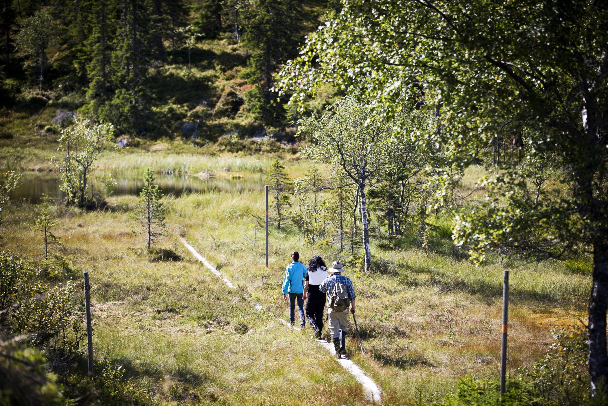 Op tour in Långberget, Värmland