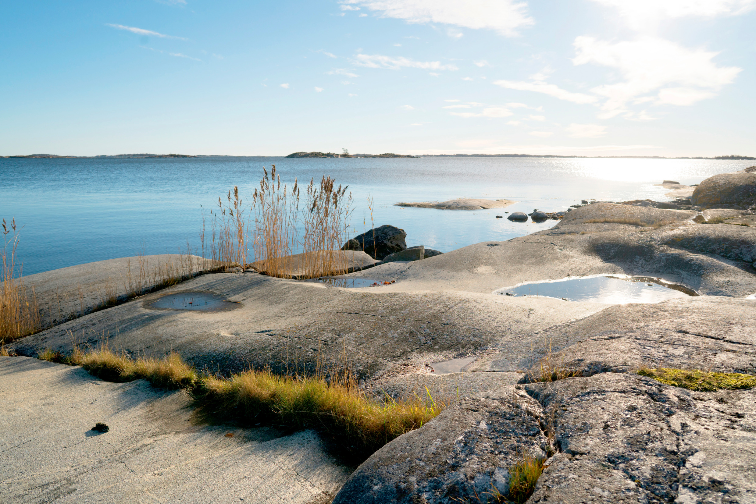 Cliffs and reed by the sea in the archipelago of Stockholm.