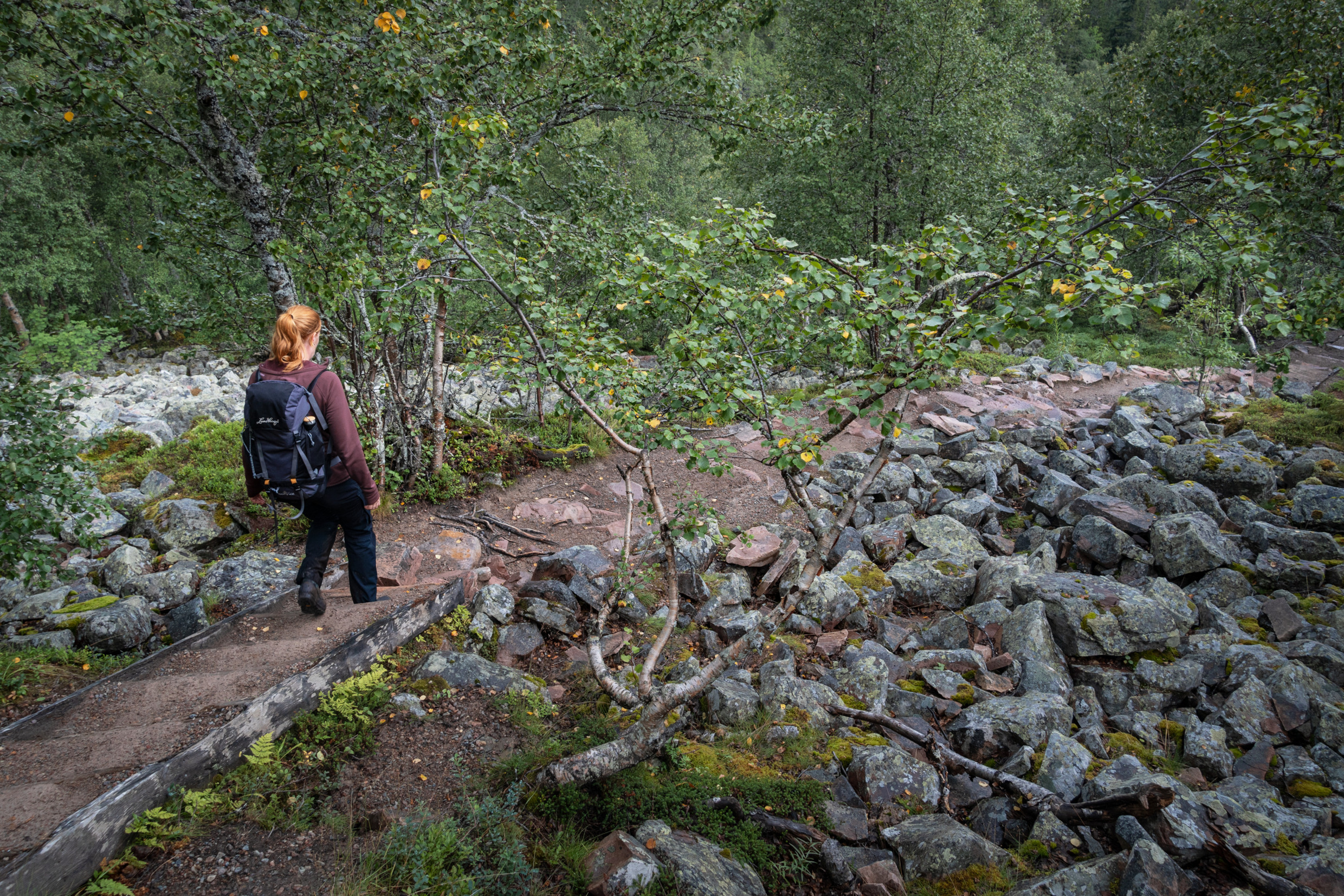 Eine Frau, die einen Waldweg entlanggeht, umgeben von Bäumen und Büschen.
