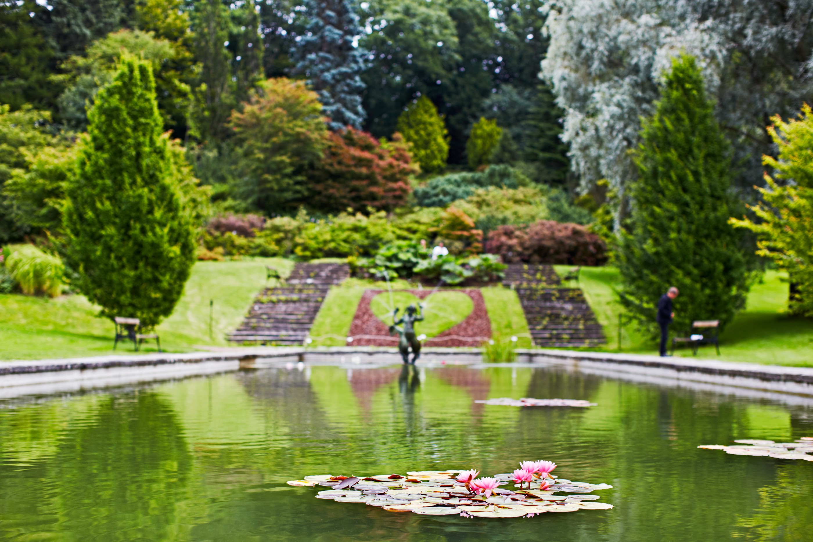 Botaniska Trädgården