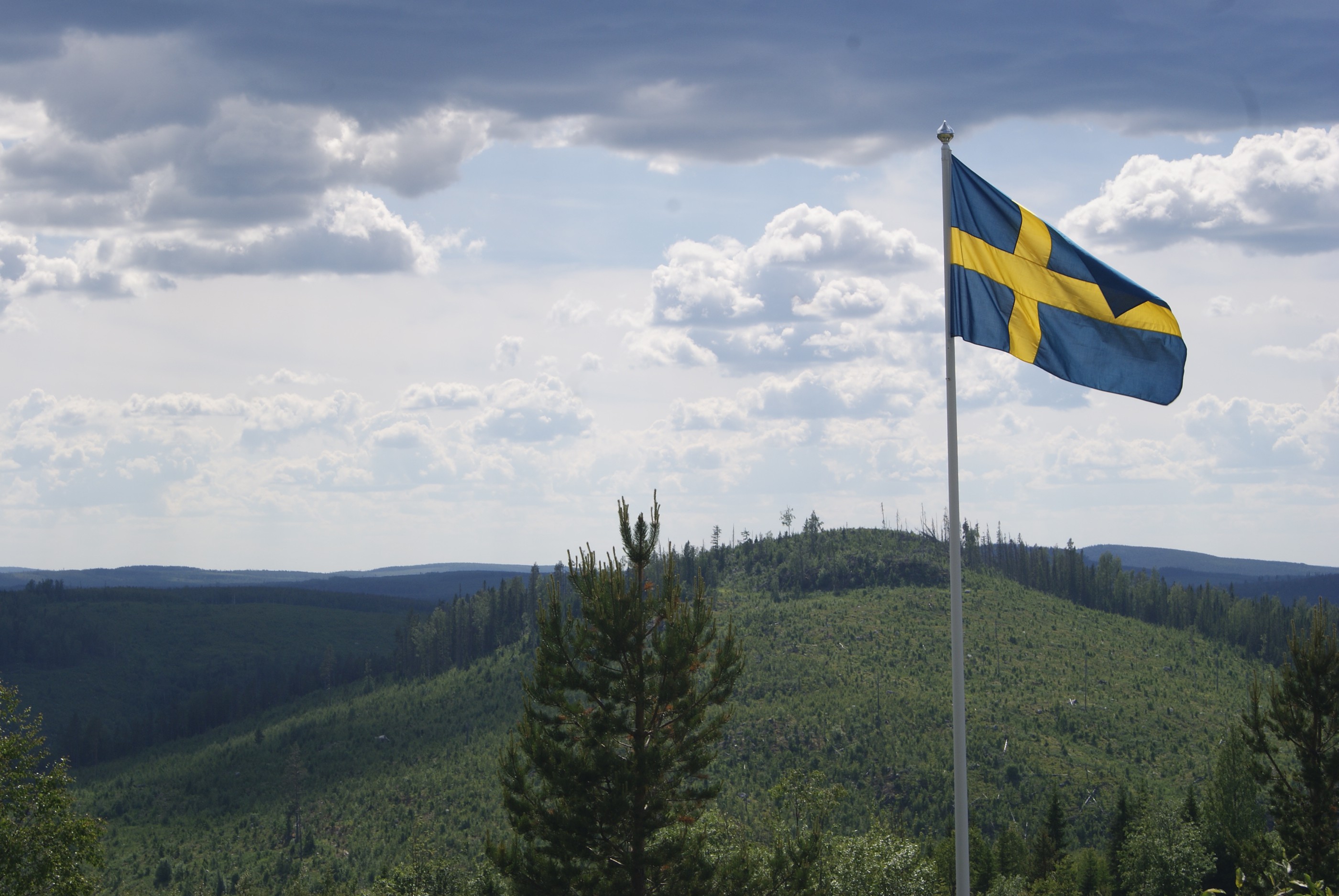 Ljungandalsvägen